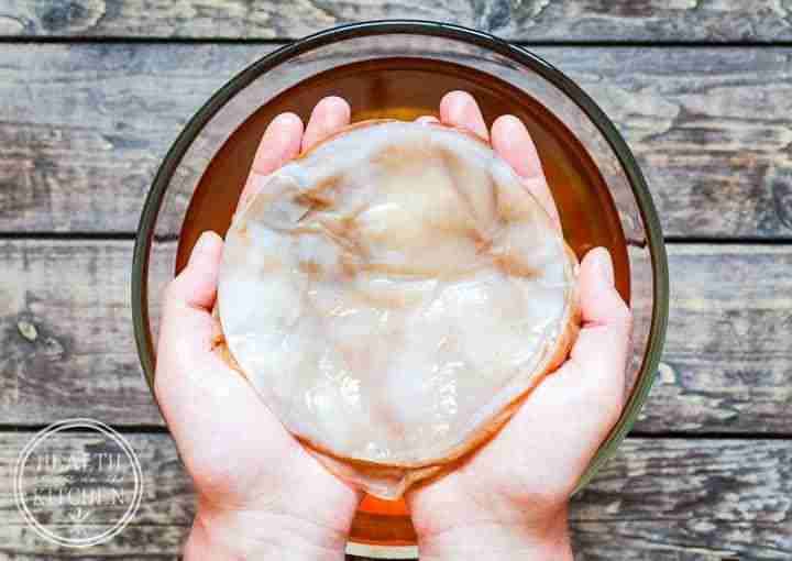 Cultivo de kombucha con SCOBY - miniatura 4