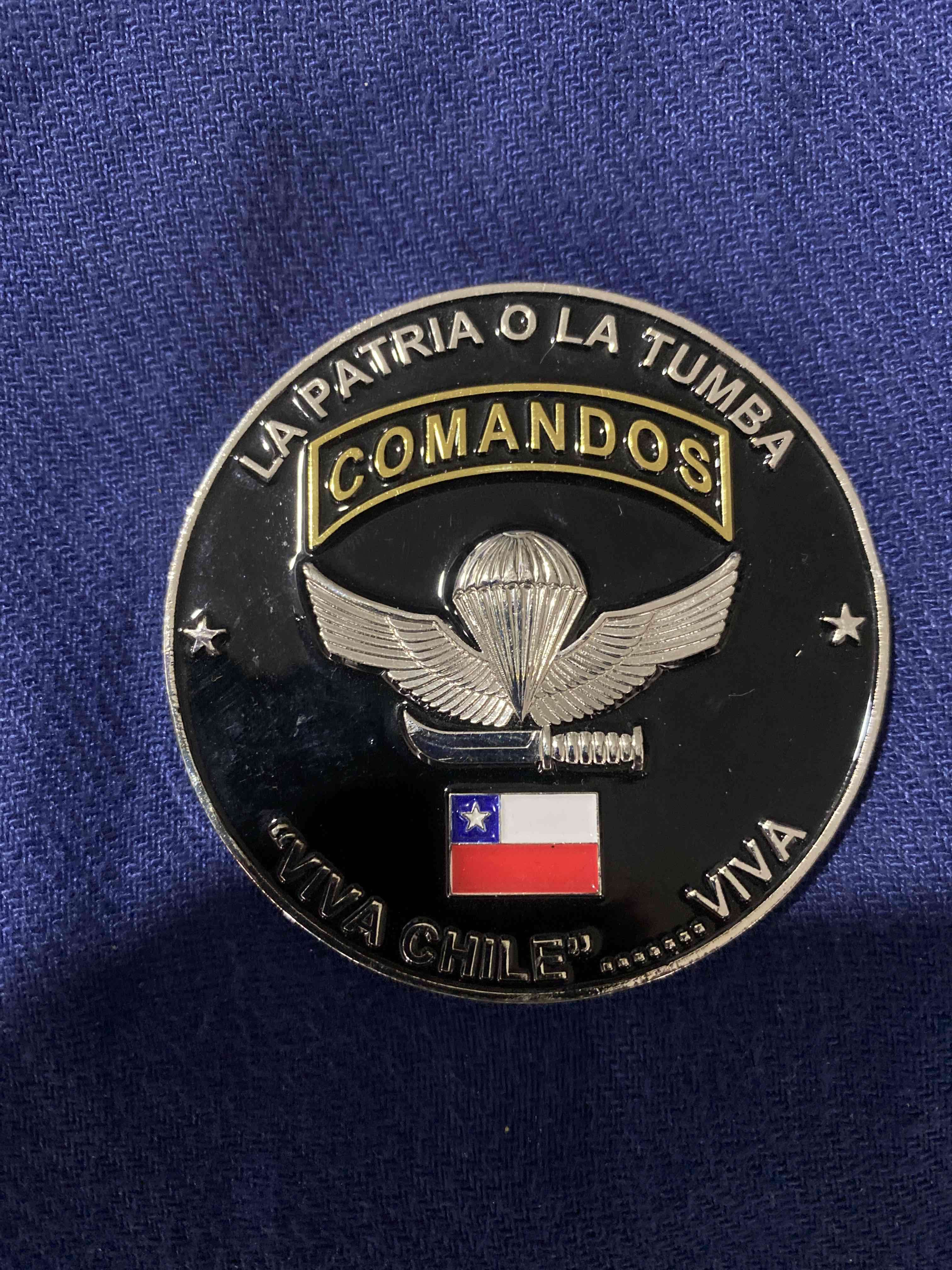 Insignia Comando Viva Chile