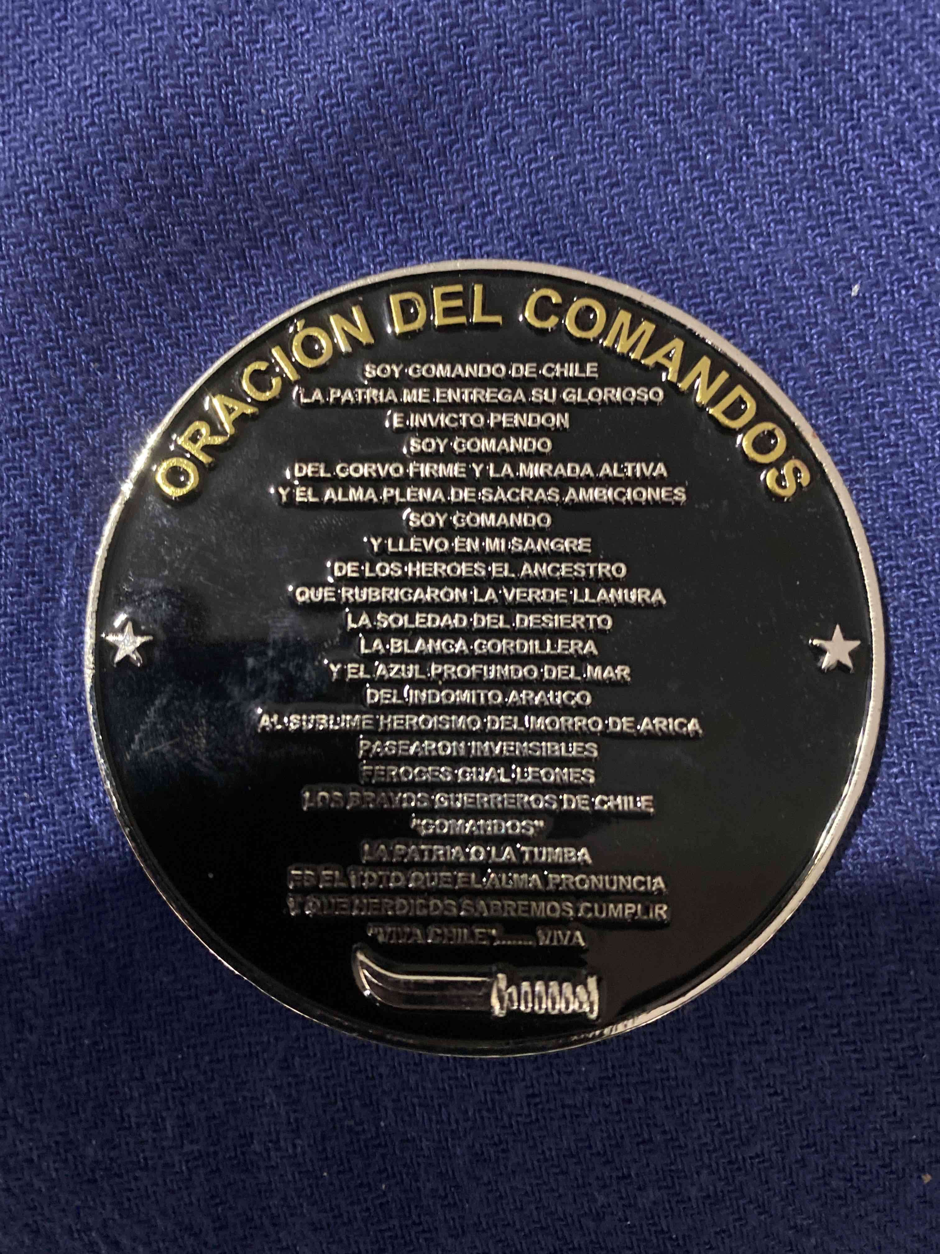 Insignia Comando Viva Chile - 2