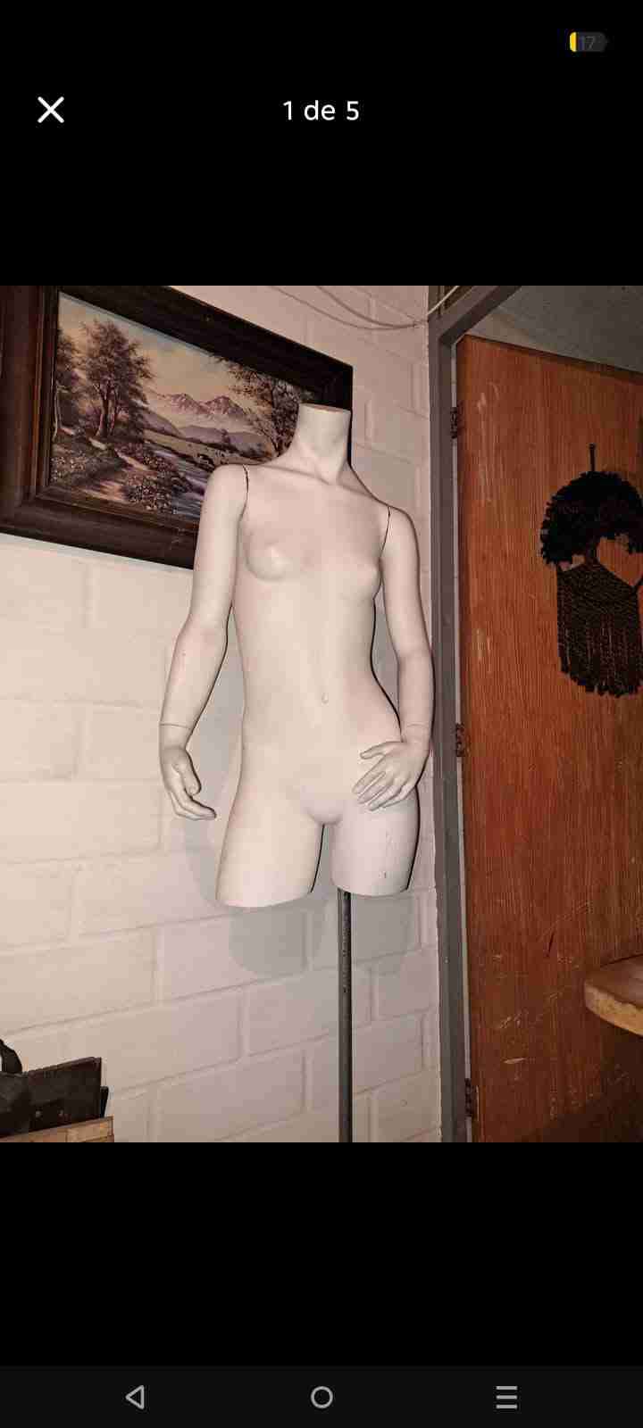 Maniquí niño o niña