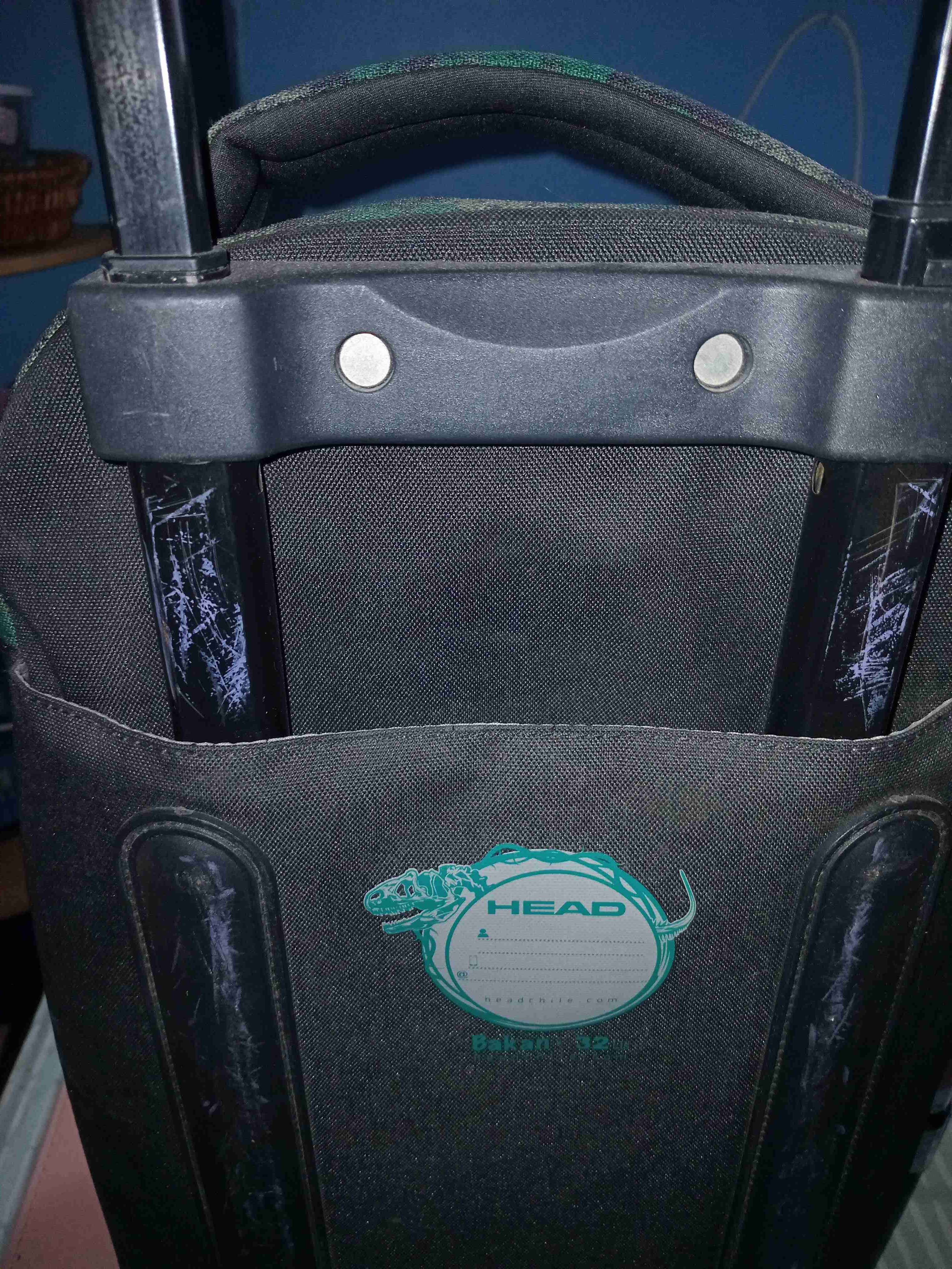 Mochila infantil T-Rex verde - miniatura 5