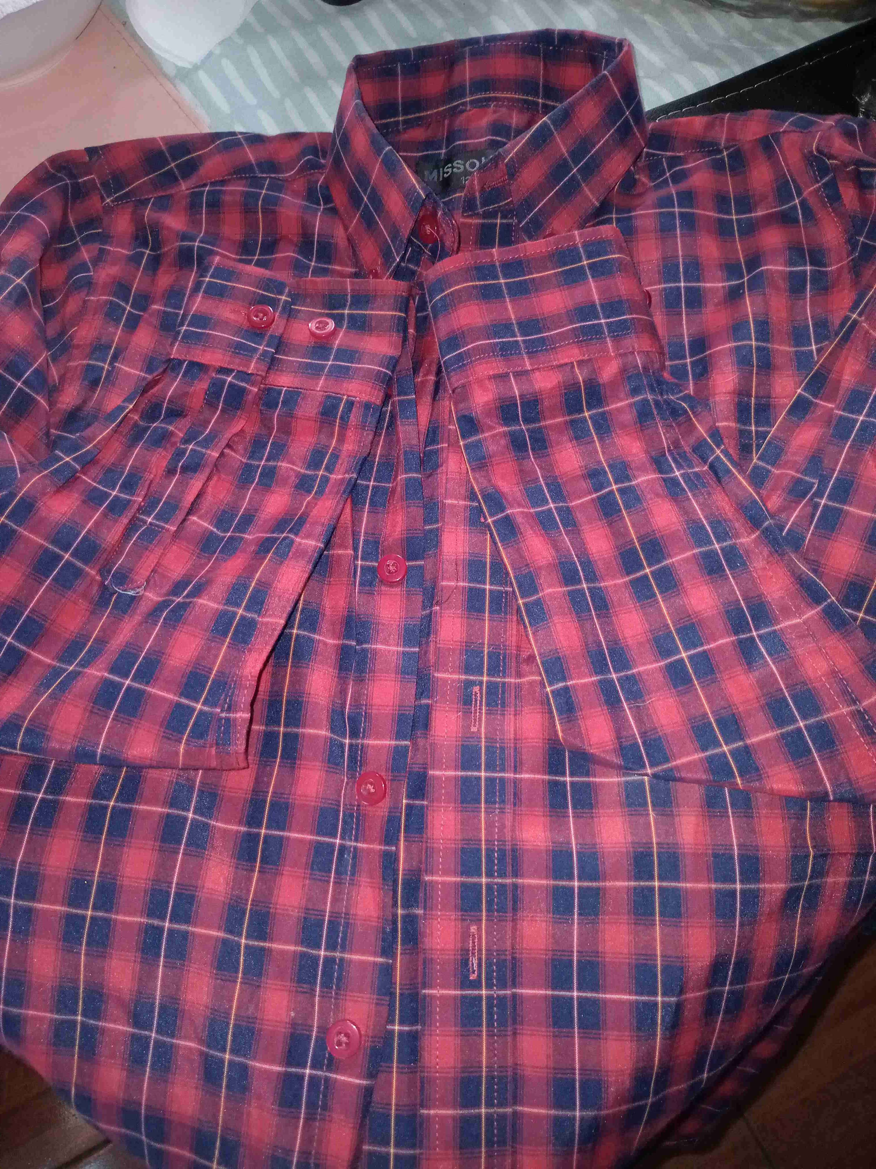 2 Camisa a cuadros roja y azul yuca con dinosaurio