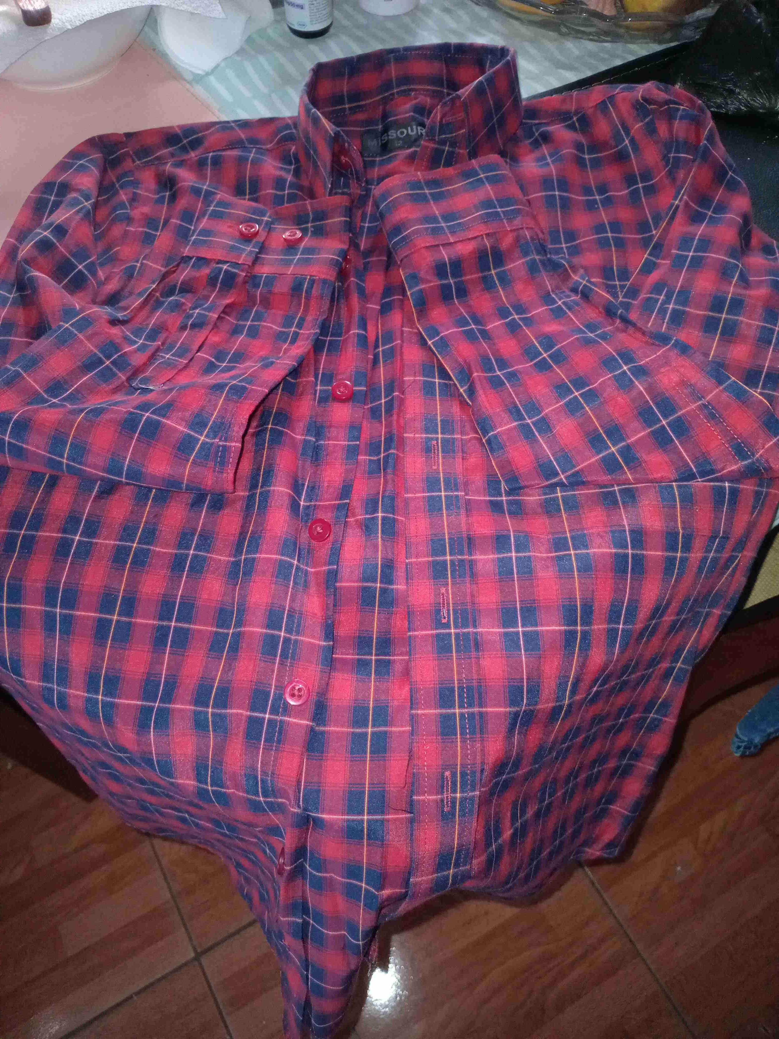 2 Camisa a cuadros roja y azul yuca con dinosaurio - miniatura 3