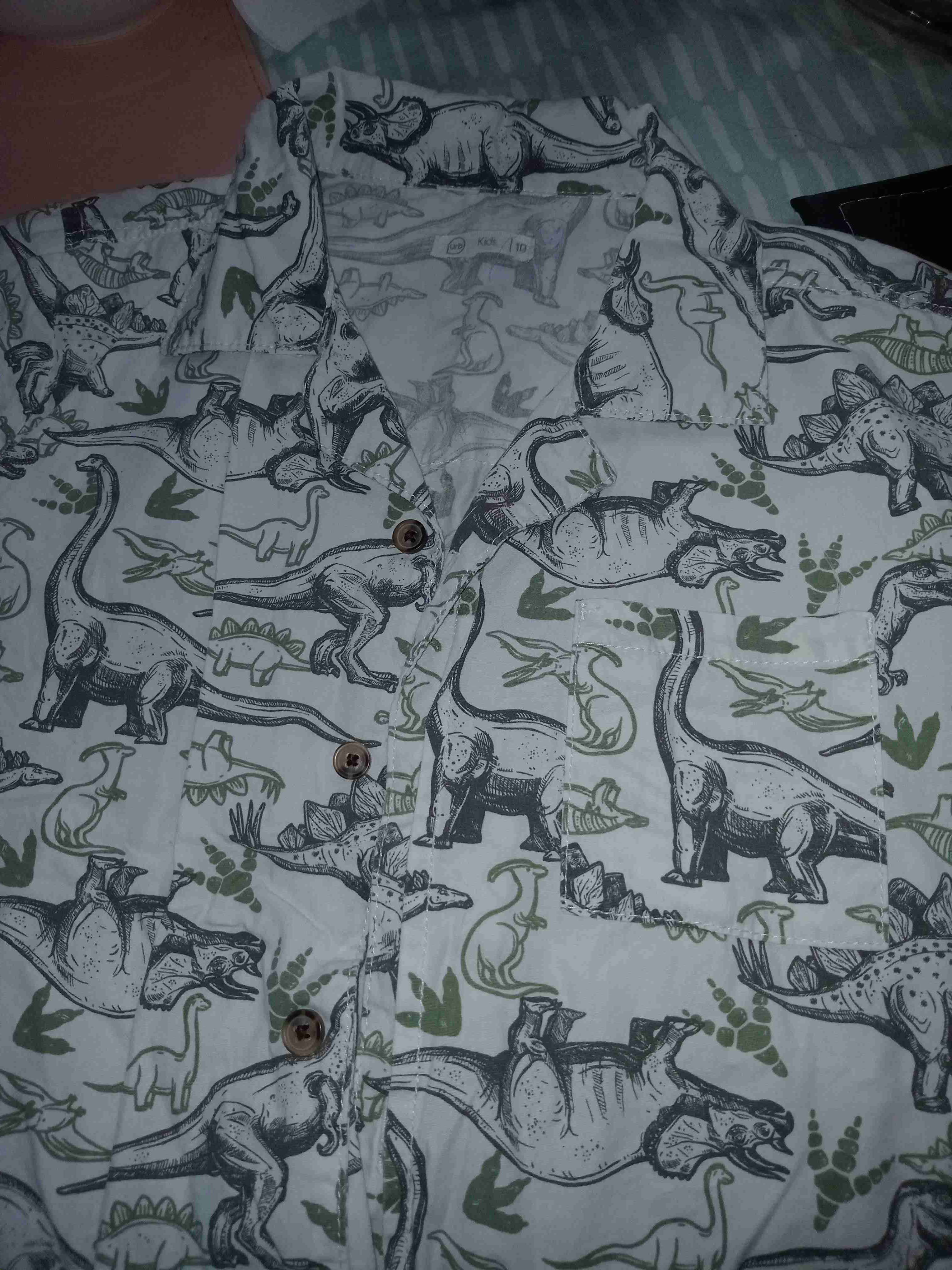 2 Camisa a cuadros roja y azul yuca con dinosaurio - miniatura 4