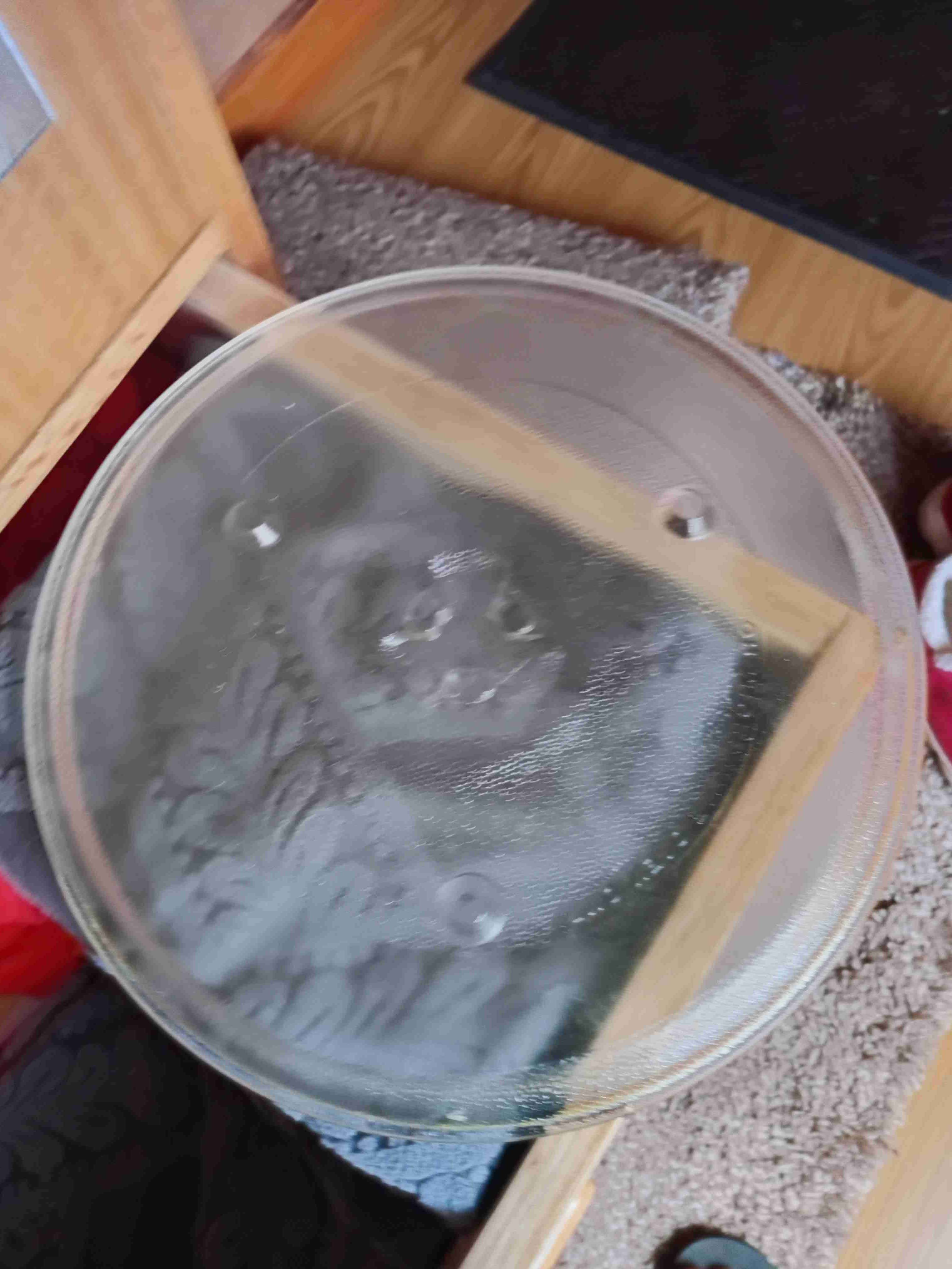 Plato microondas - miniatura 2