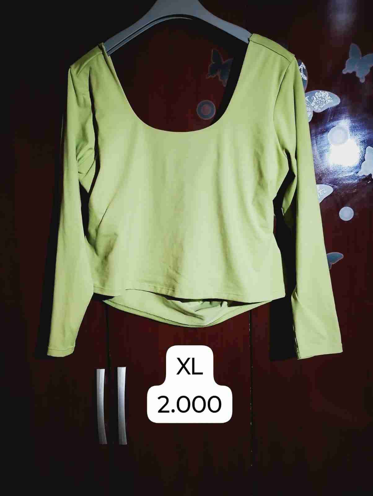 Polera verde claro manga larga