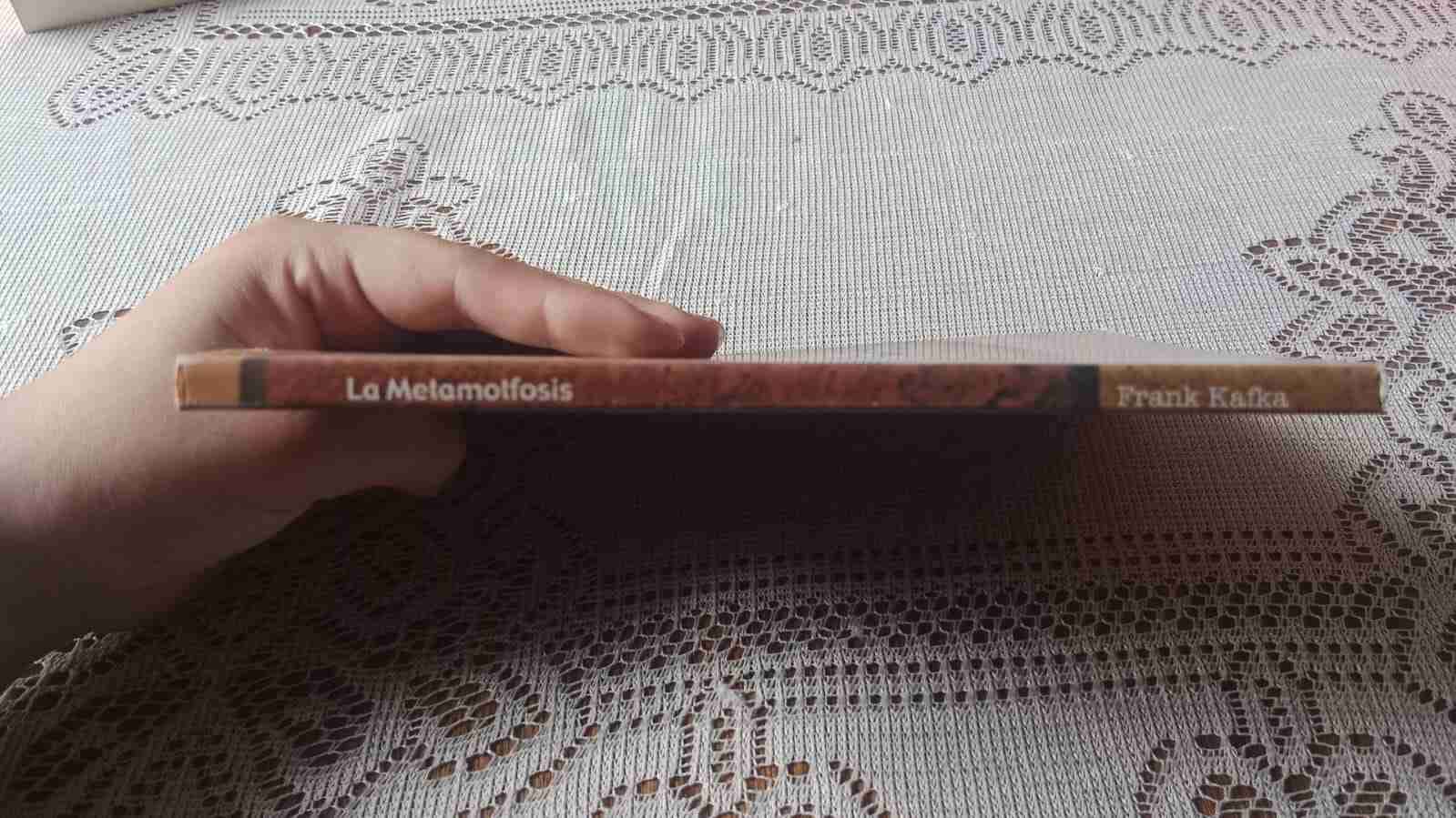 La Metamorfosis de Frank Kafka - miniatura 3