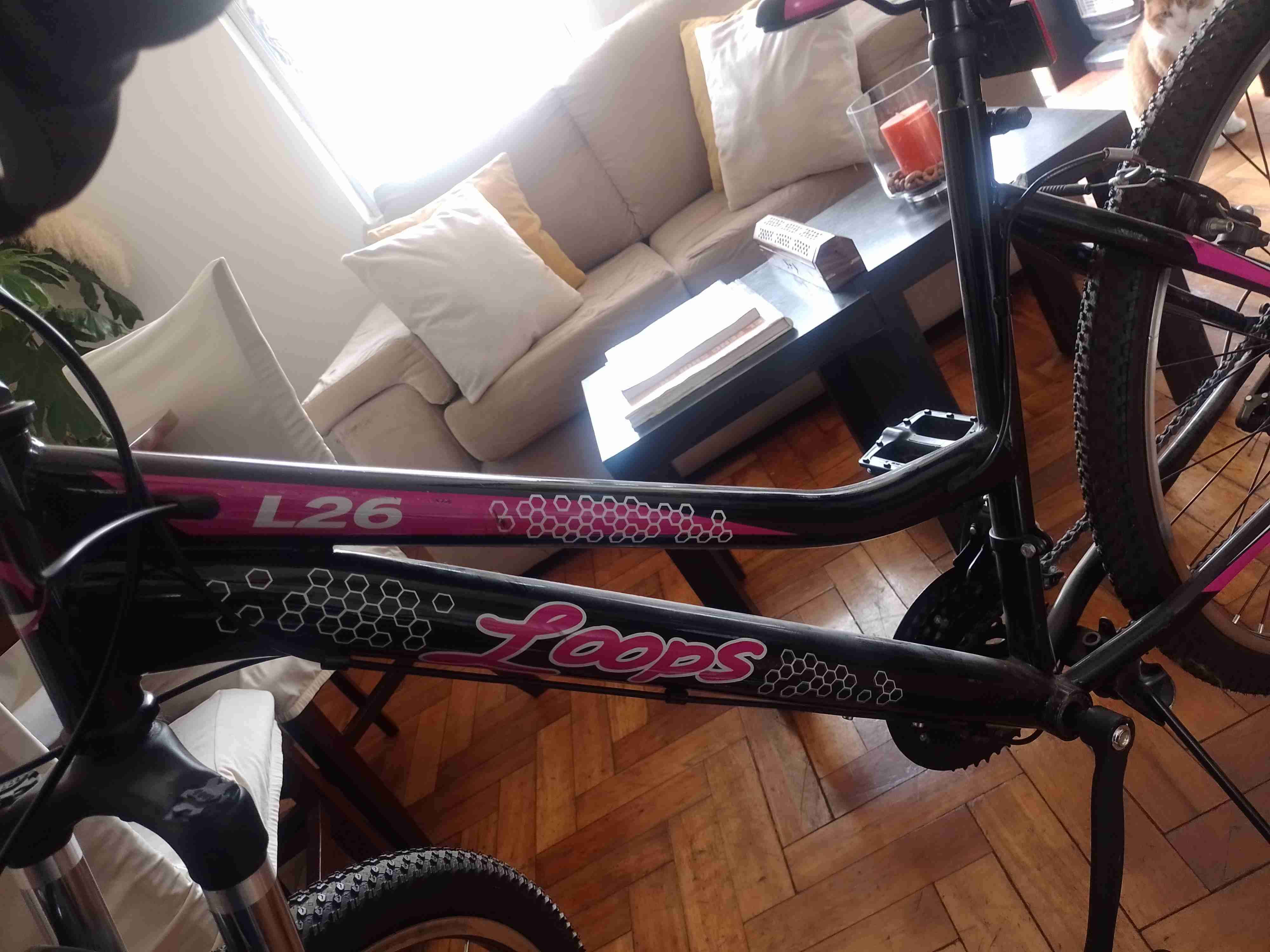Vendo bicicleta Loops L26 7 Velocidades Nueva - miniatura 5