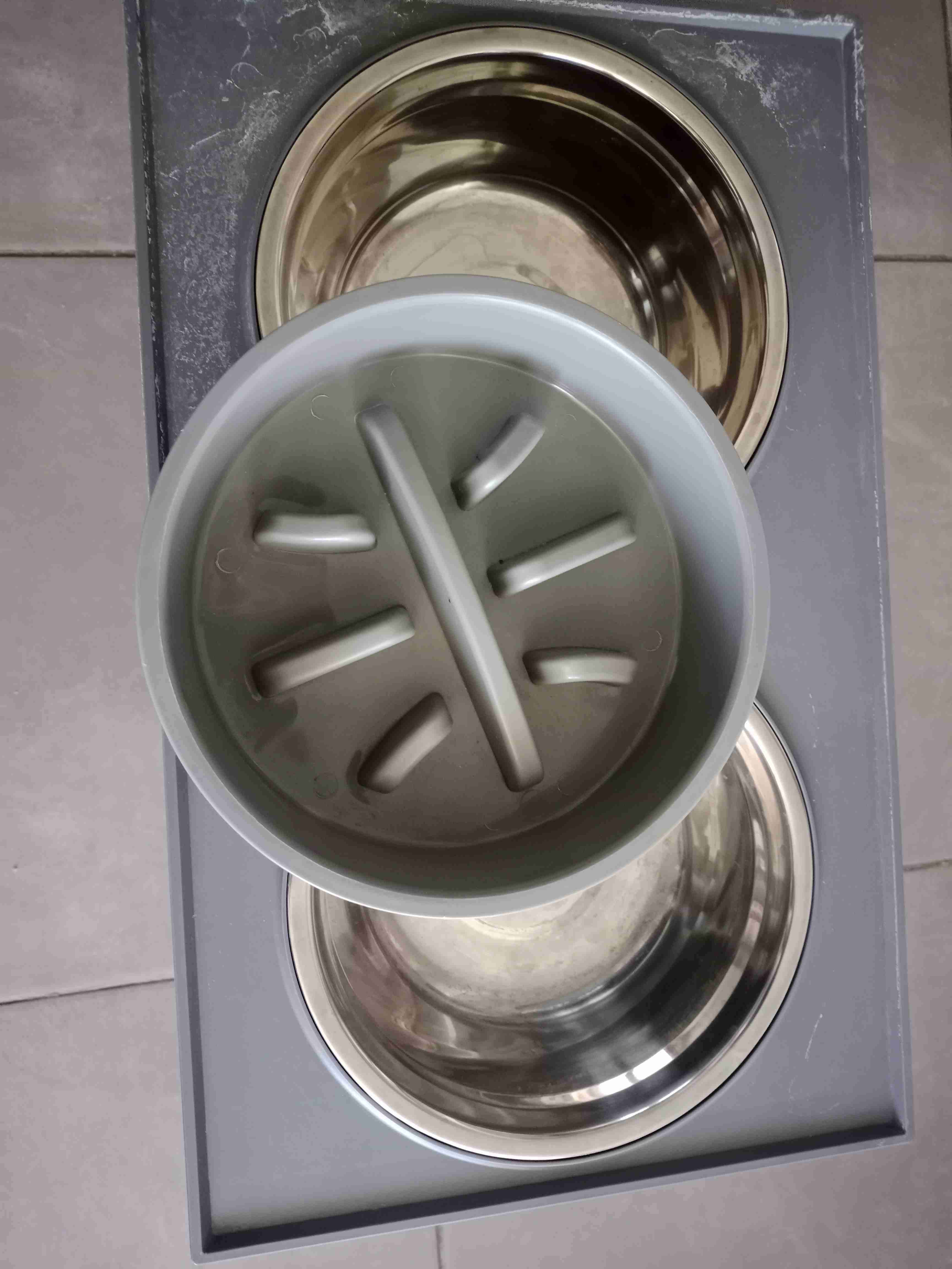 Comedero elevado doble para mascotas - miniatura 3