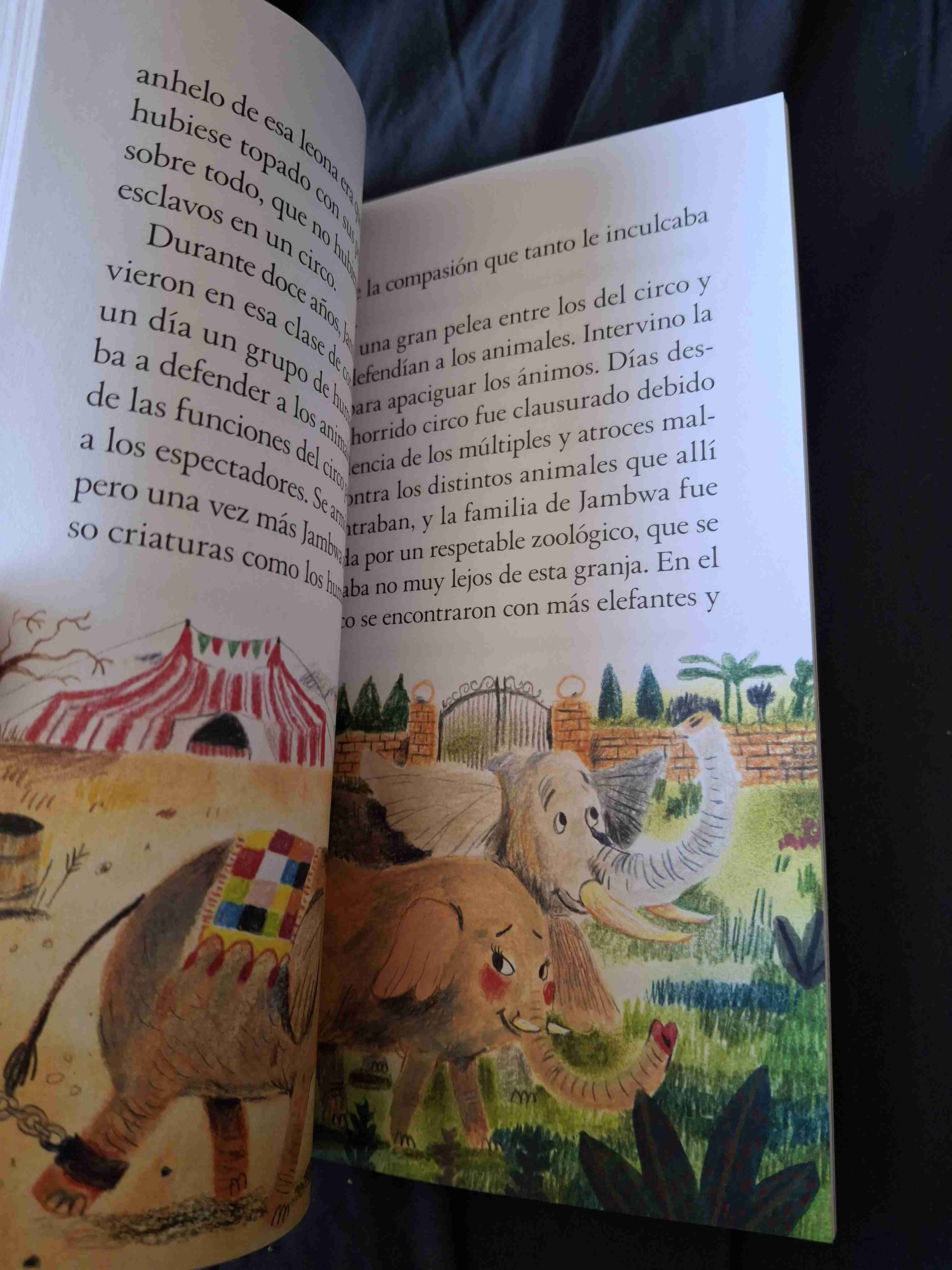 Libro El gran forastero - miniatura 5