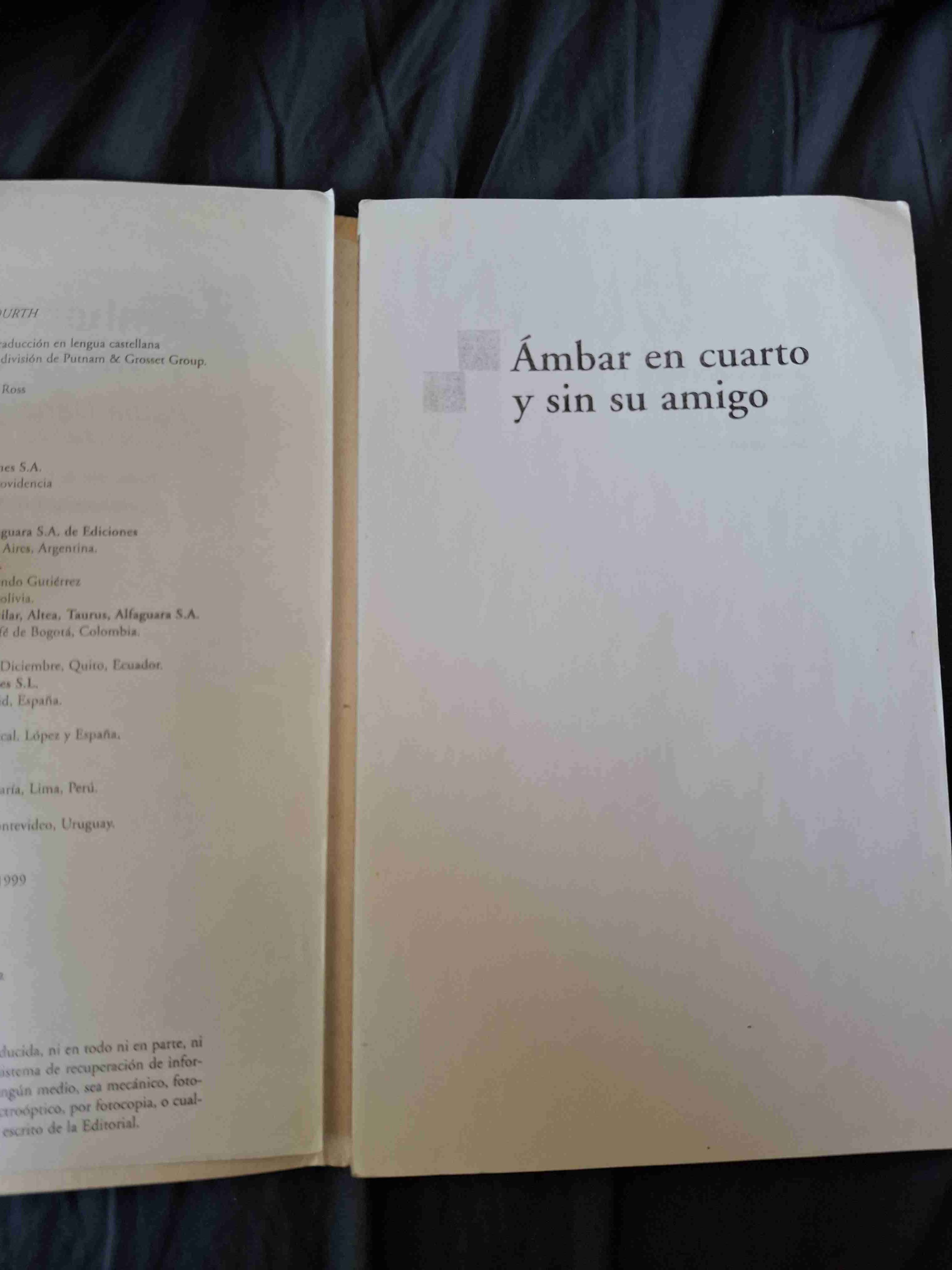 Libro 'Ámbar en cuarto y sin su amigo' - miniatura 6