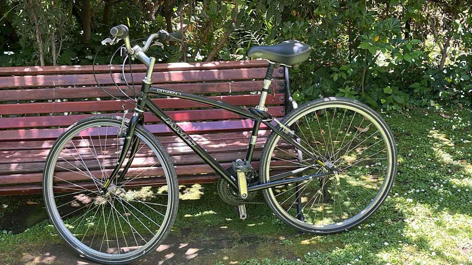 Bicicleta Citizen negra
