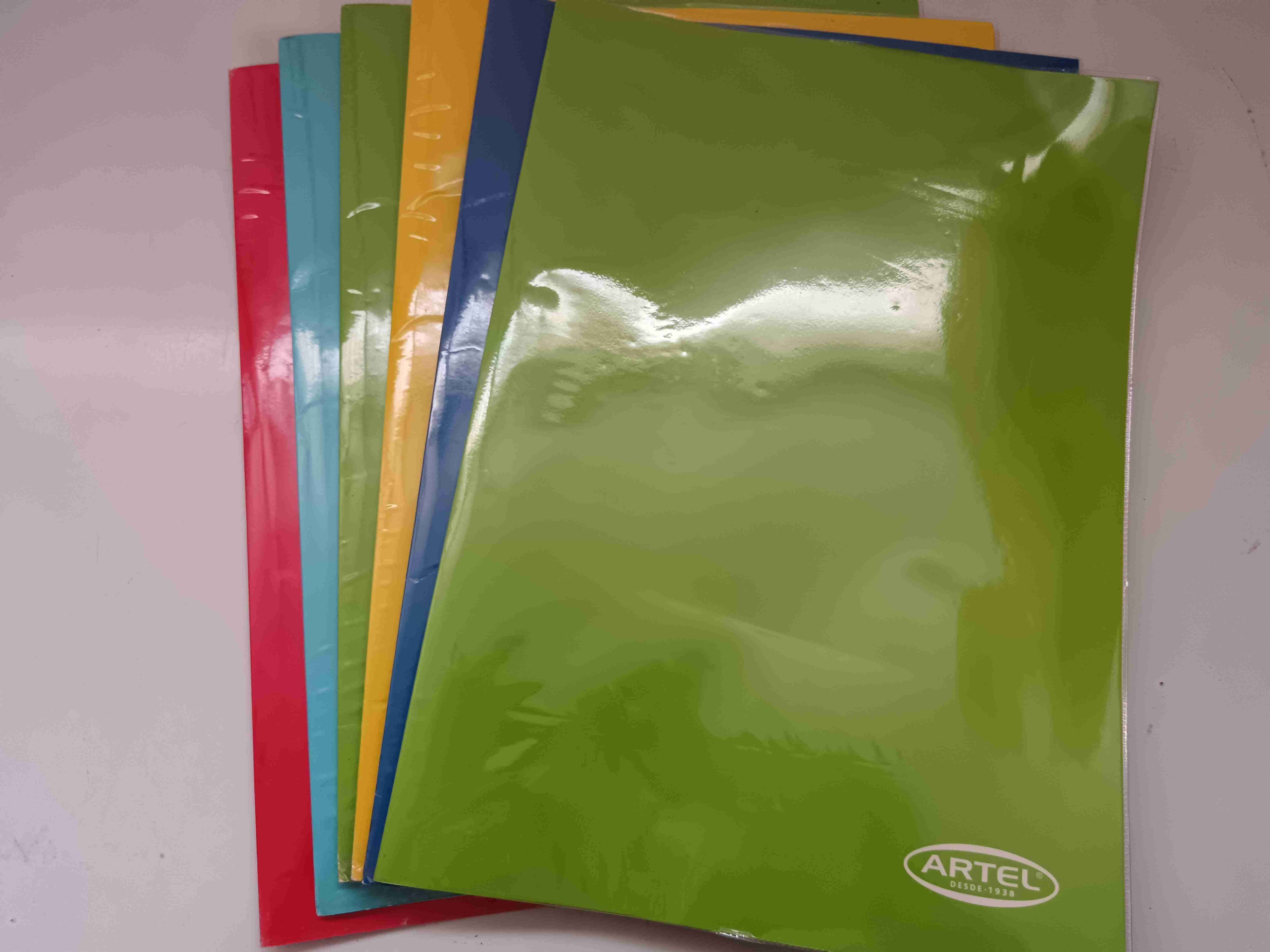 Set de carpetas plásticas Artel