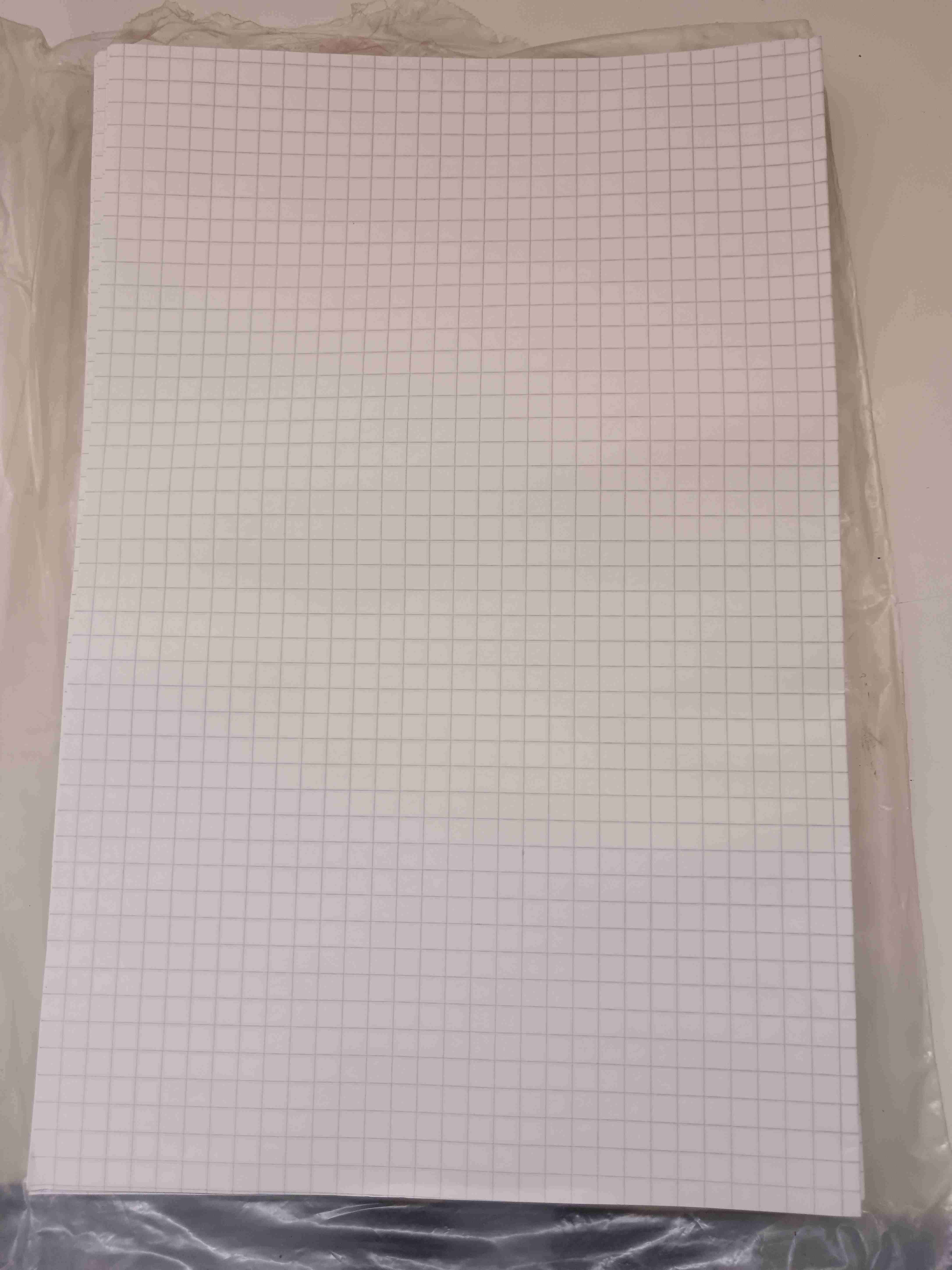 Paquete de papel cuadriculado A4