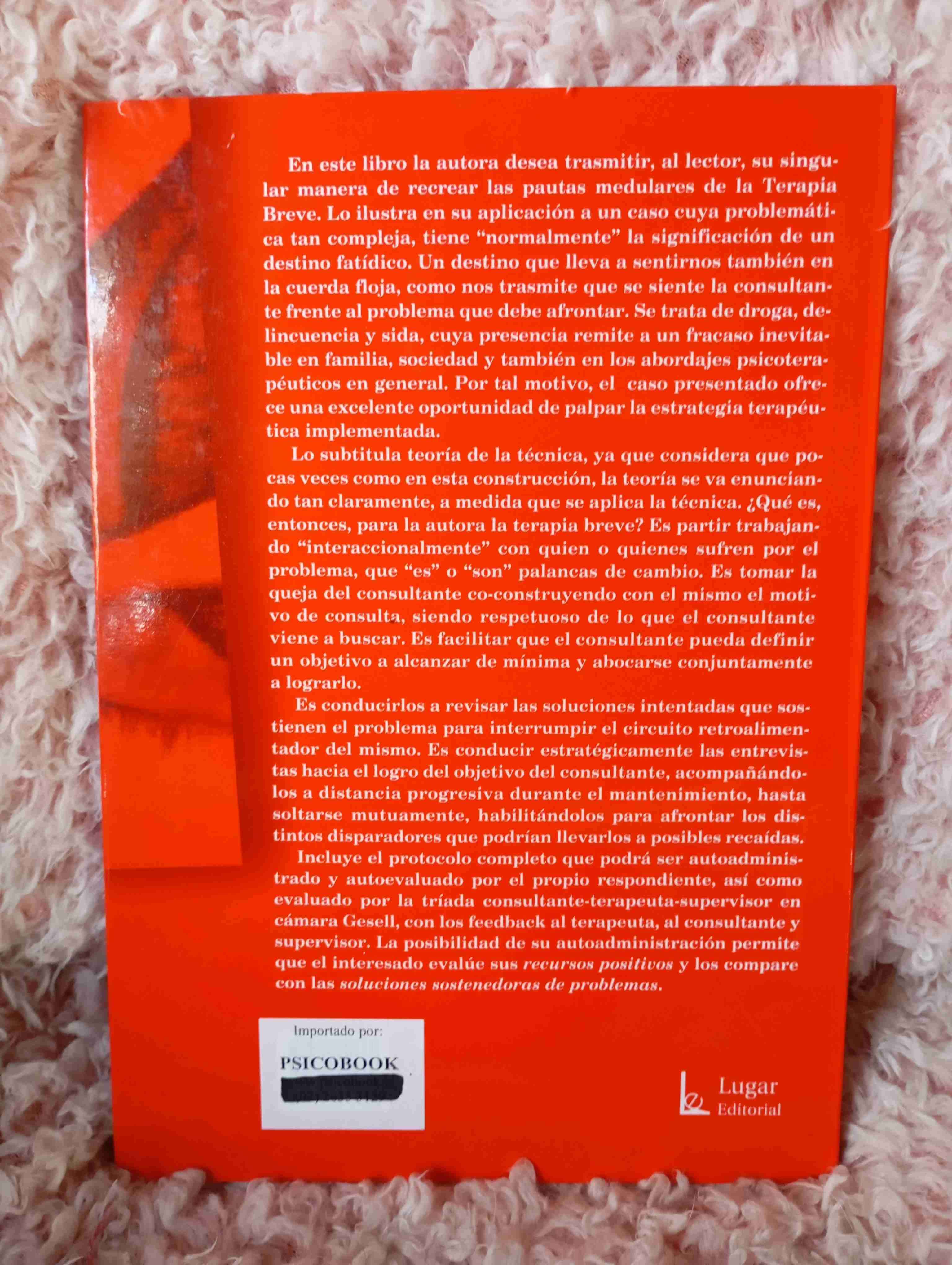 Terapia Breve Teoría del libro - miniatura 2