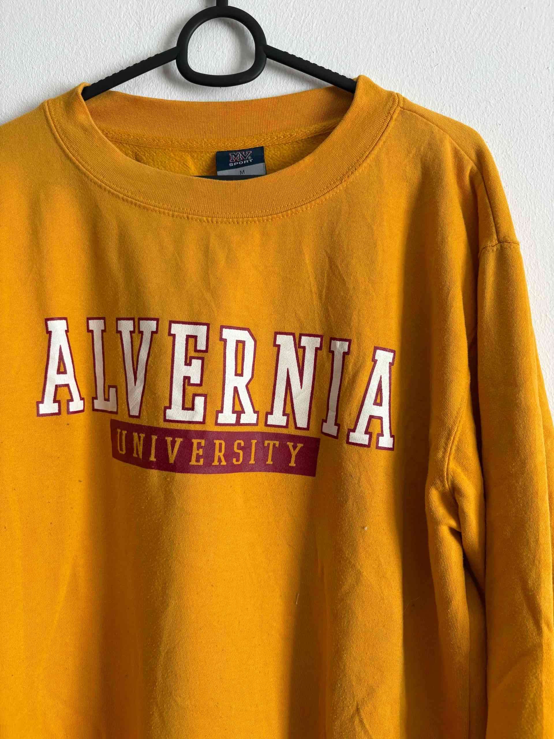 Polerón universitario amarillo - miniatura 2