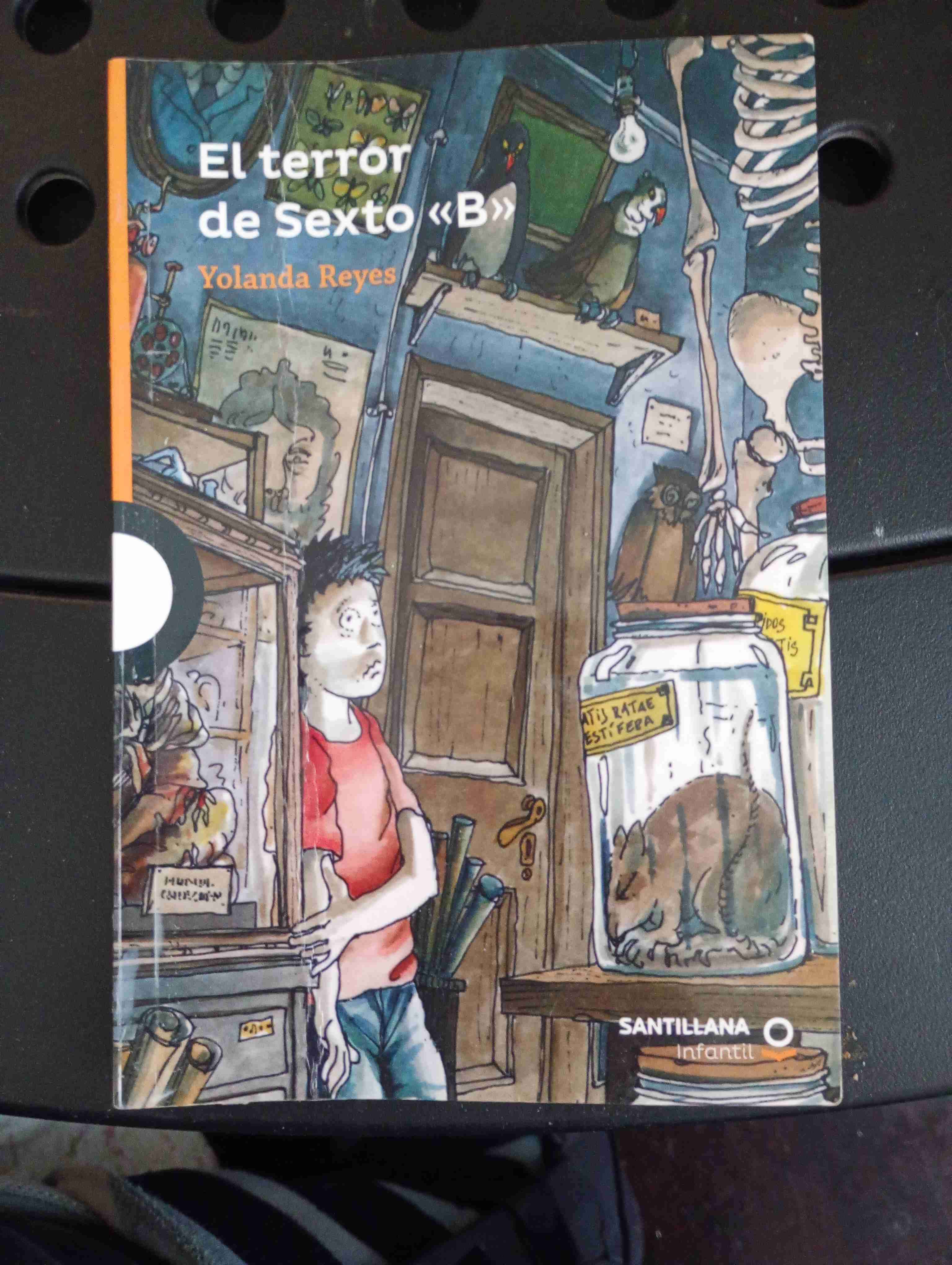 Libro 'El terror de Sexto B'