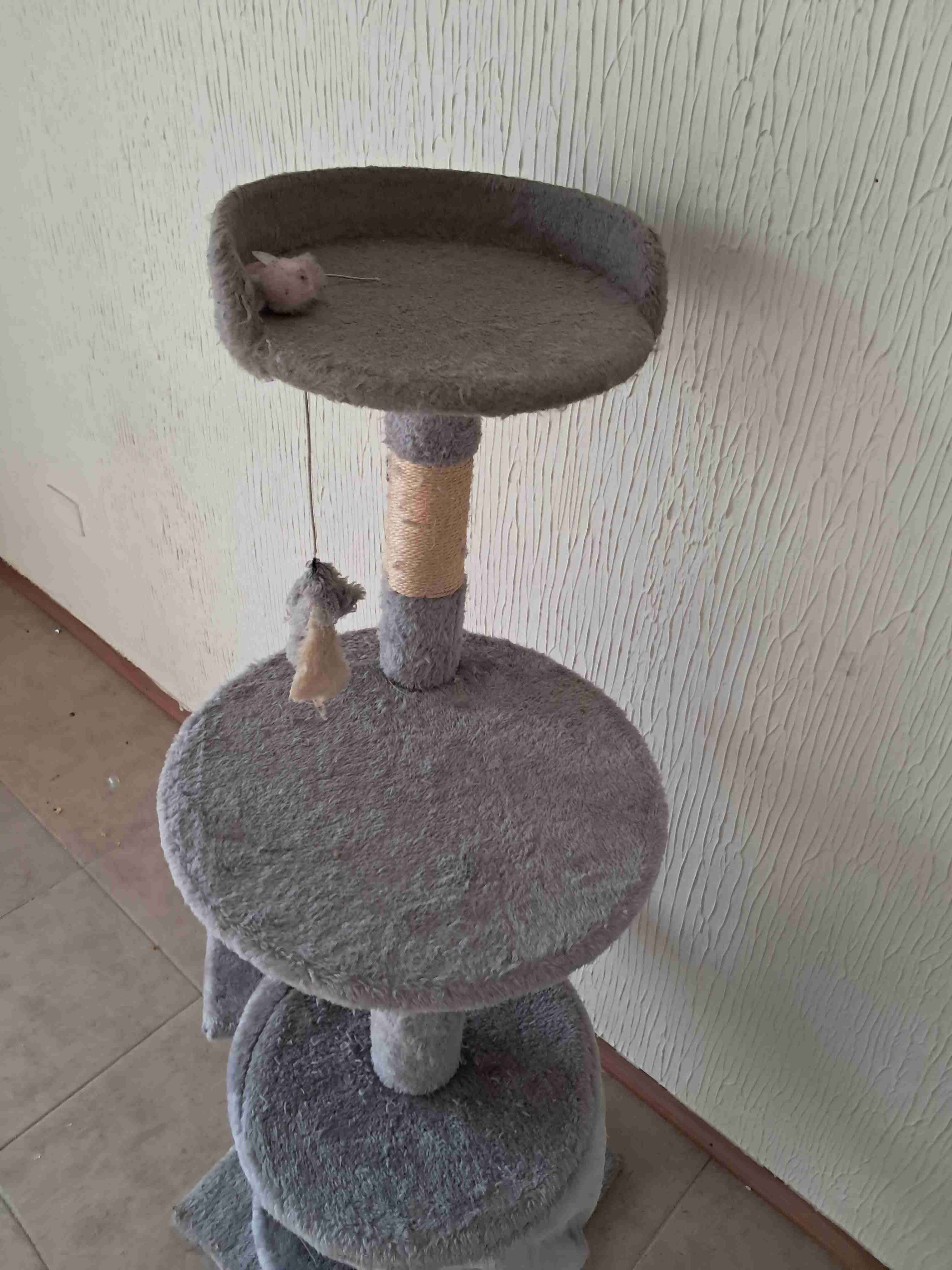 Árbol rascador para gatos gris - miniatura 3