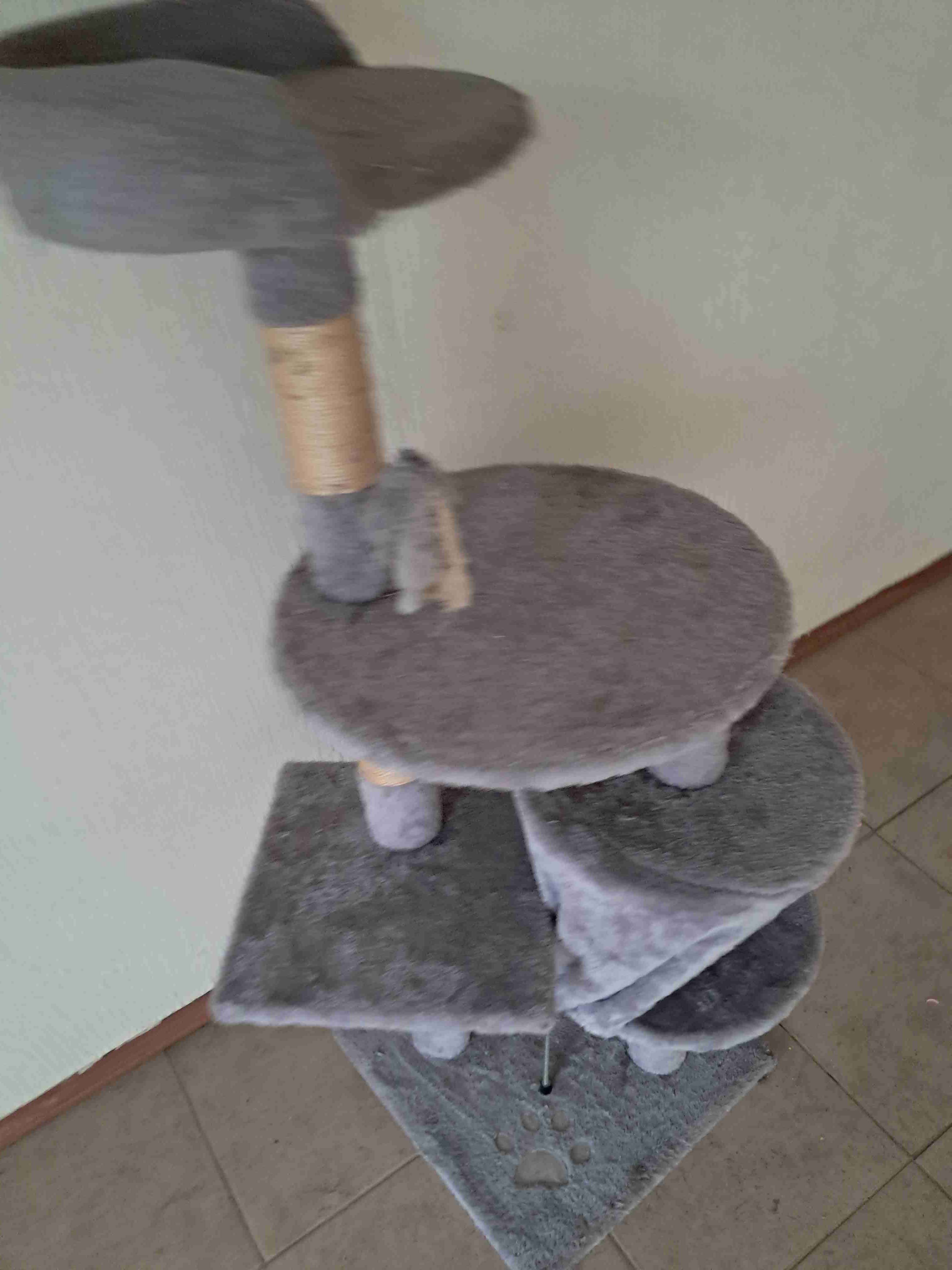 Árbol rascador para gatos gris - miniatura 4