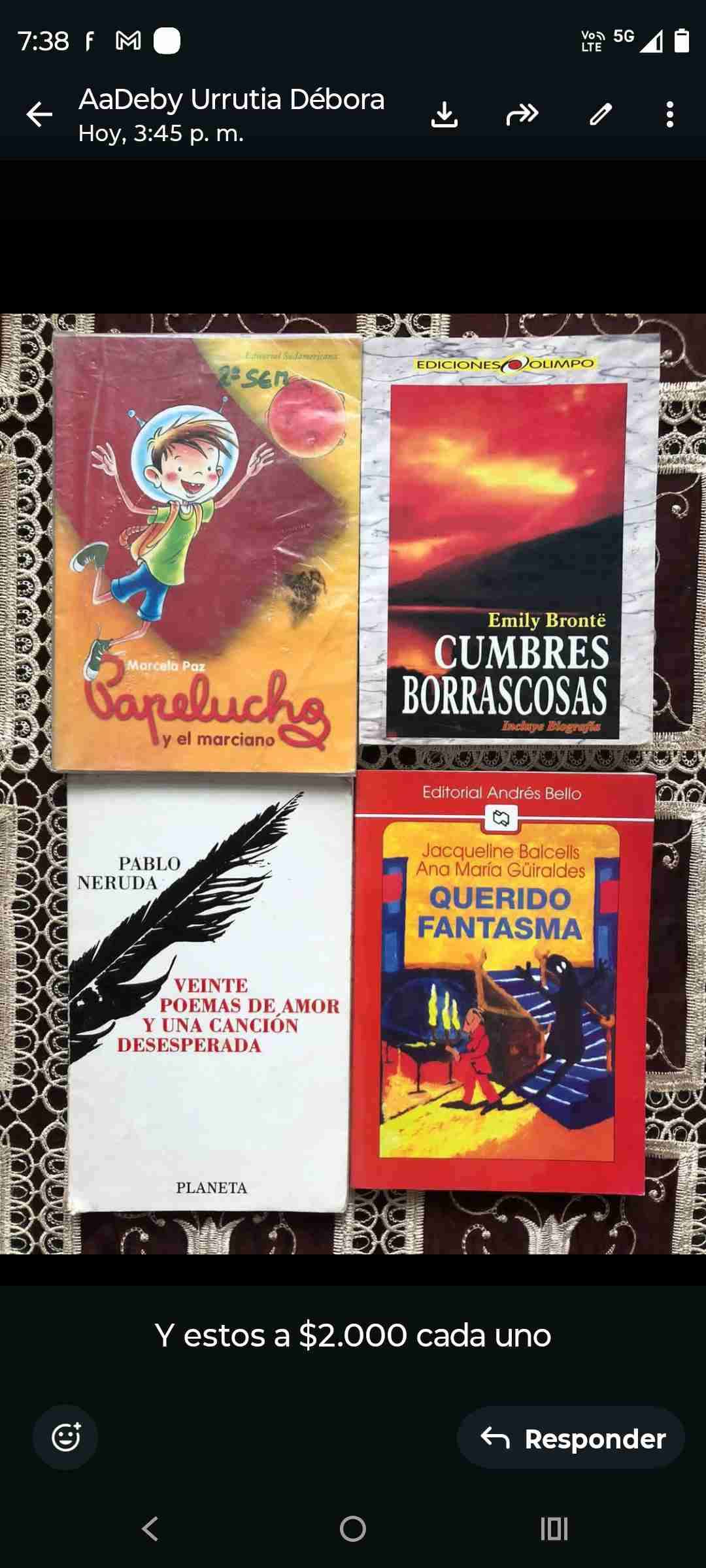 Lote de libros diversos