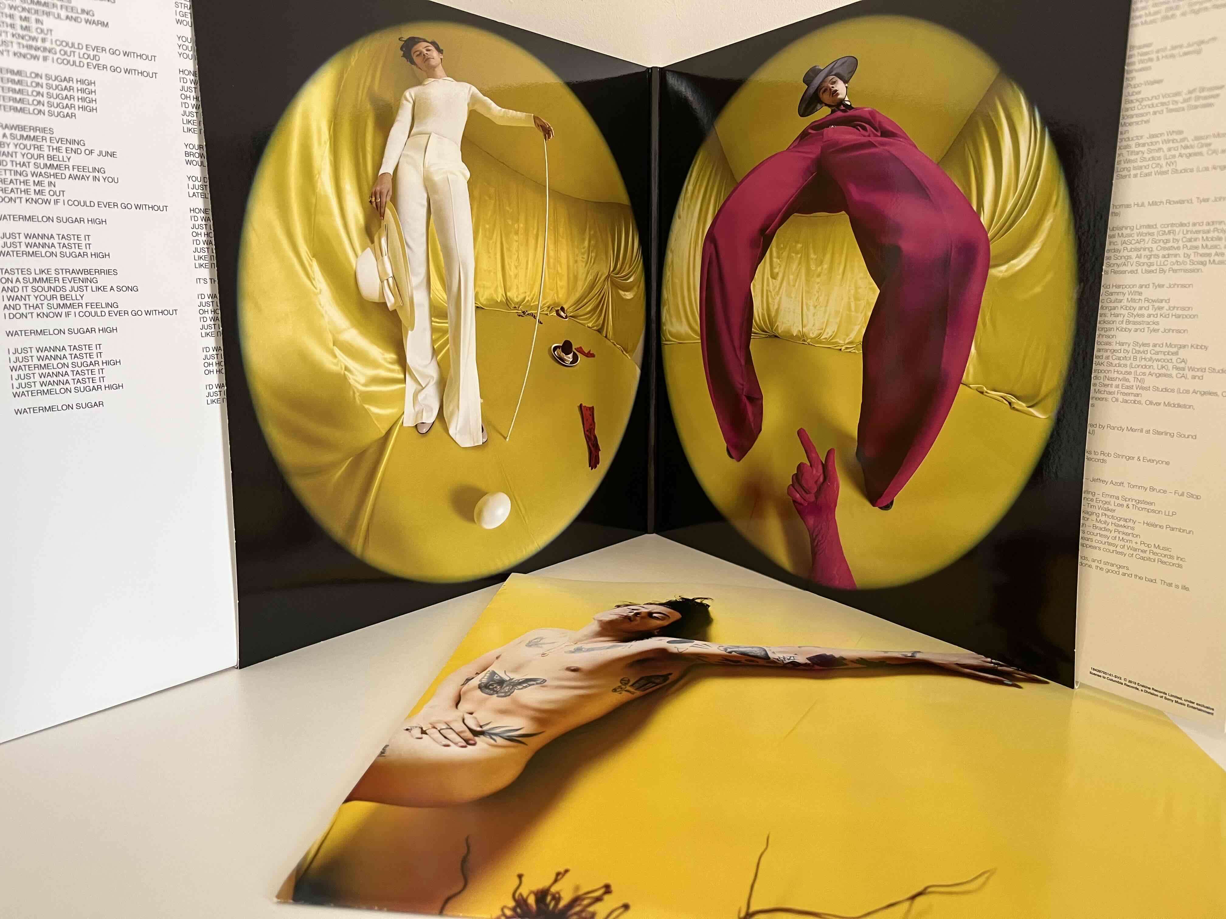 Vinilo fine line - Harry Styles - miniatura 2