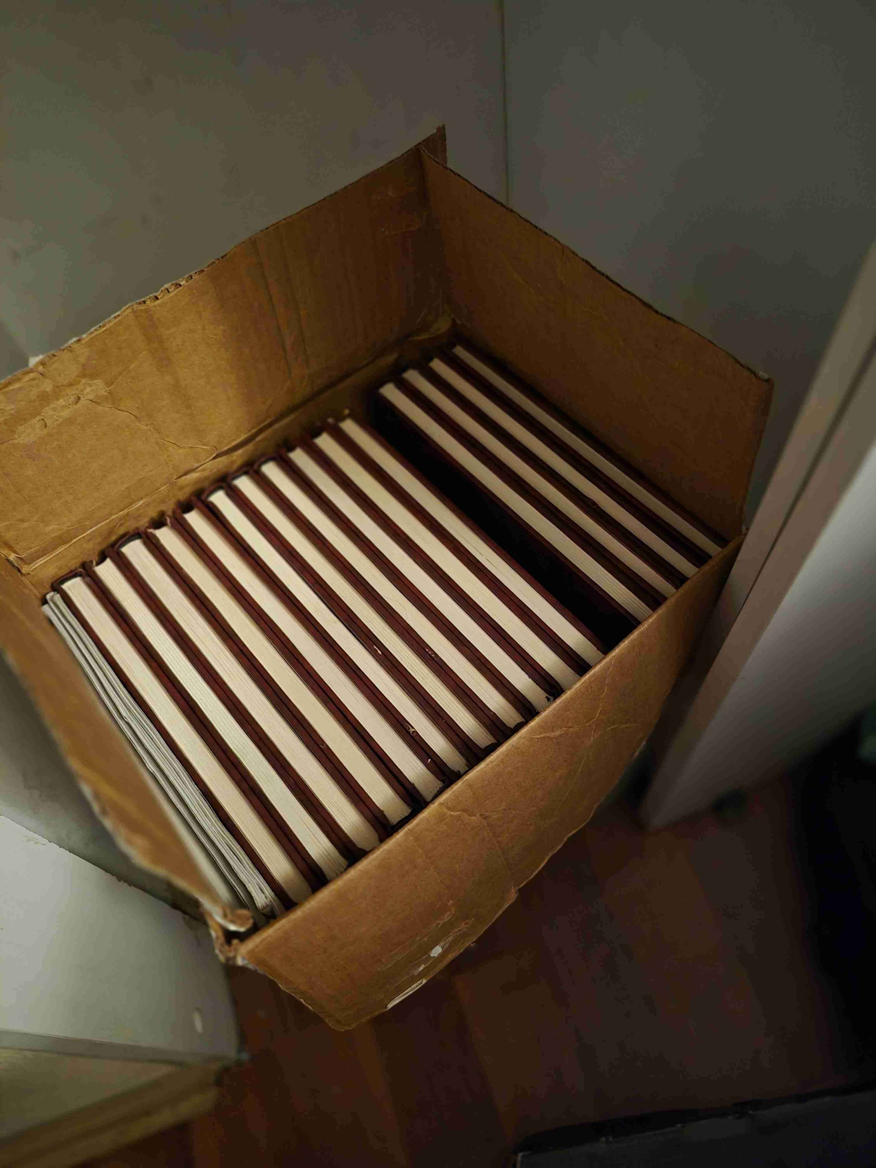 Diccionario Enciclopédico Salvat - miniatura 2