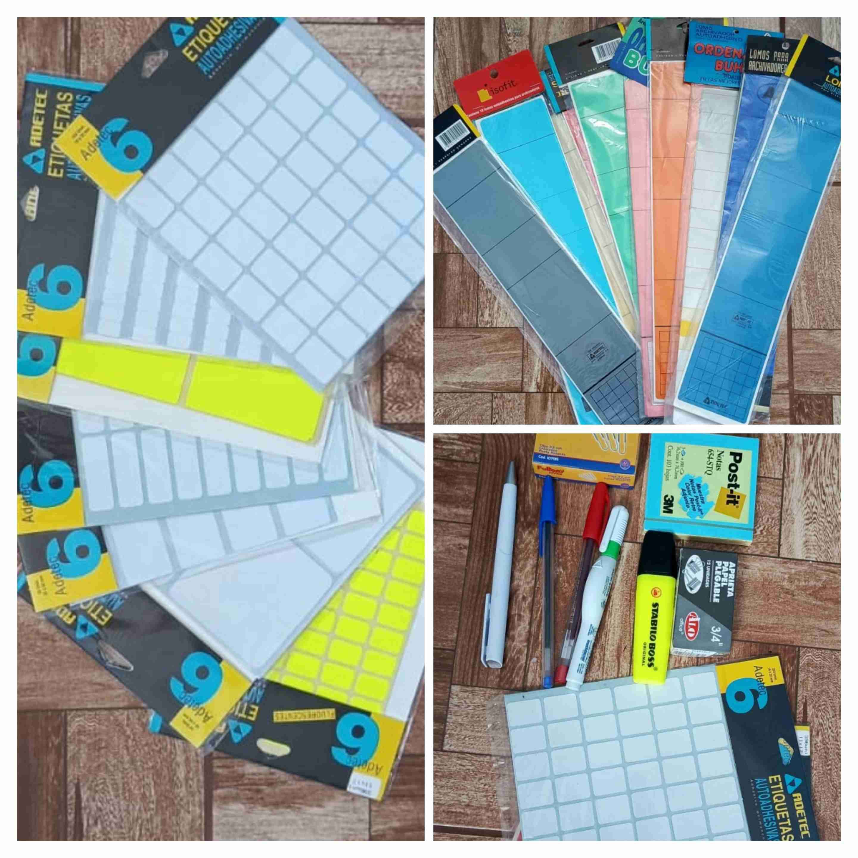 Bioseguridad plantillas de escritura - 2