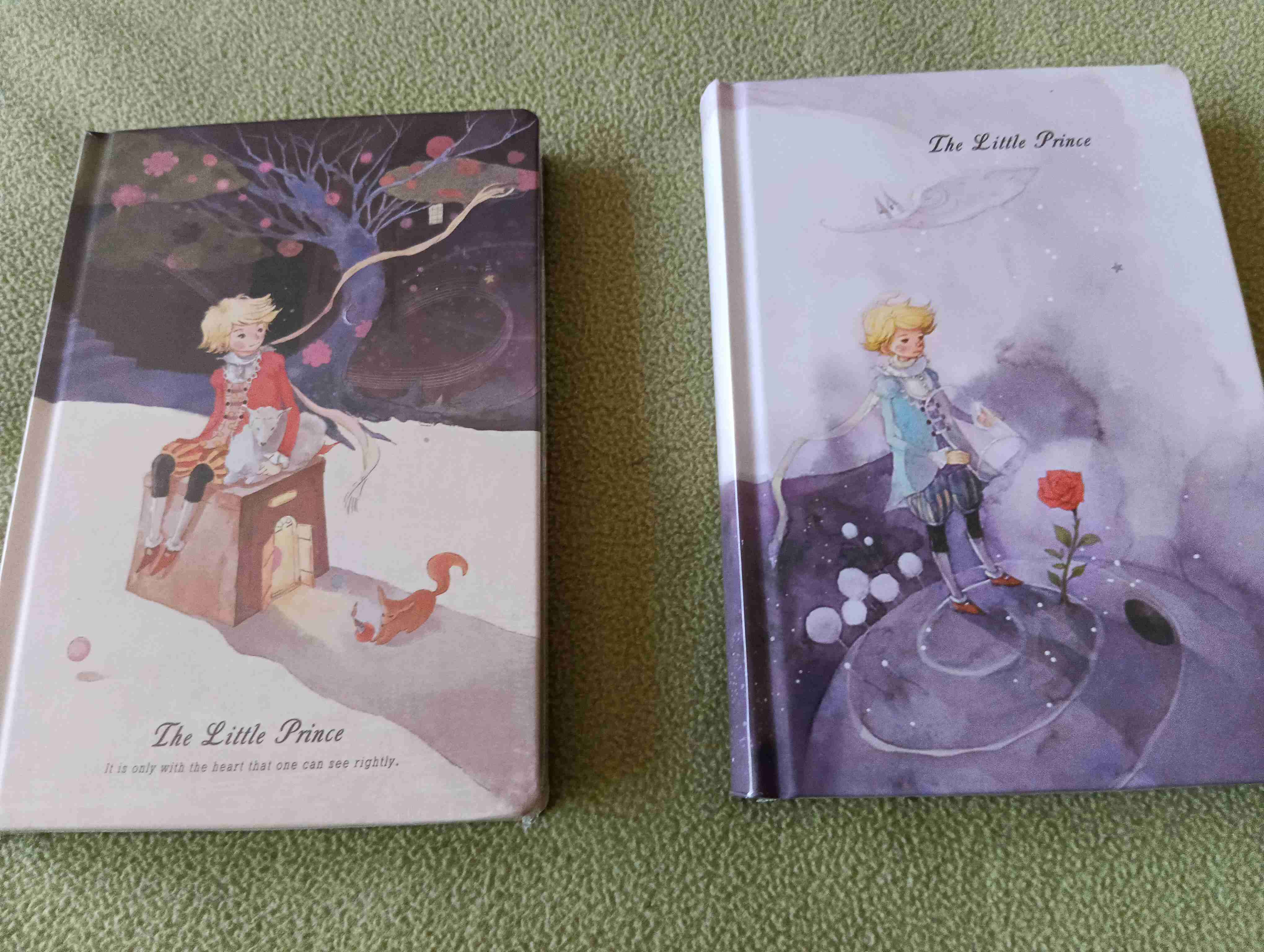 Planner El Principito ilustrado