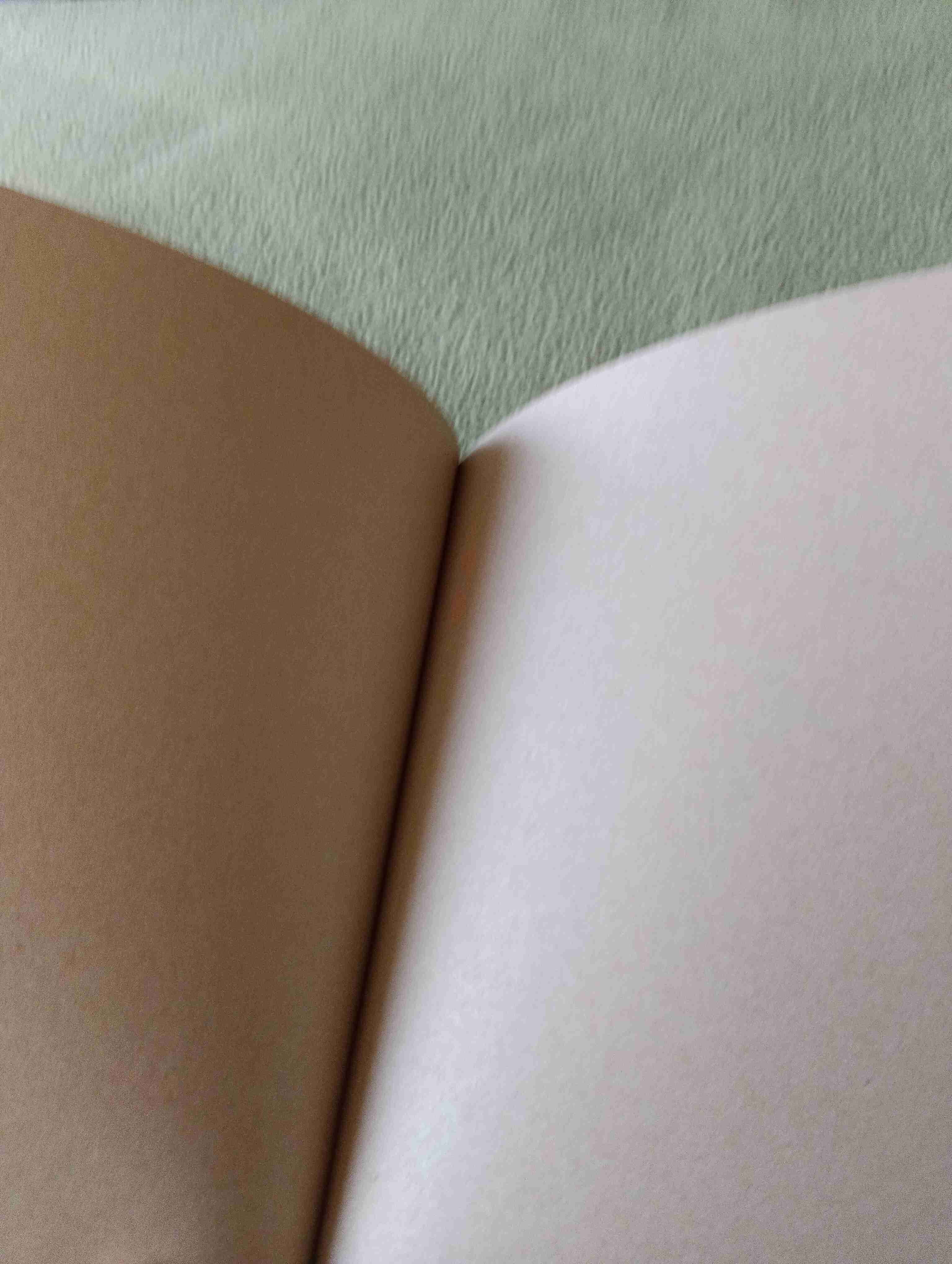 Planner El Principito ilustrado - miniatura 6