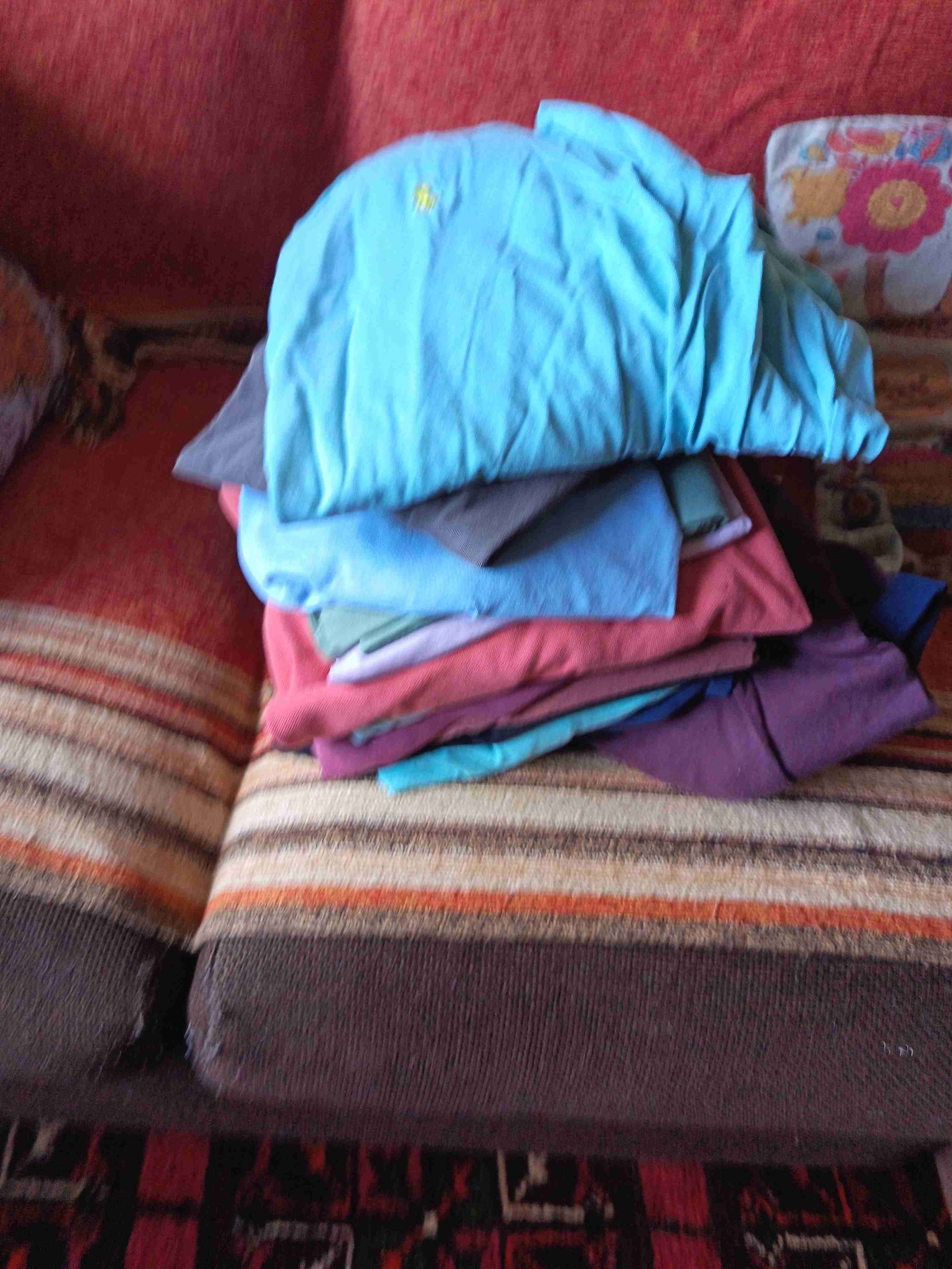 Lote camisetas variadas