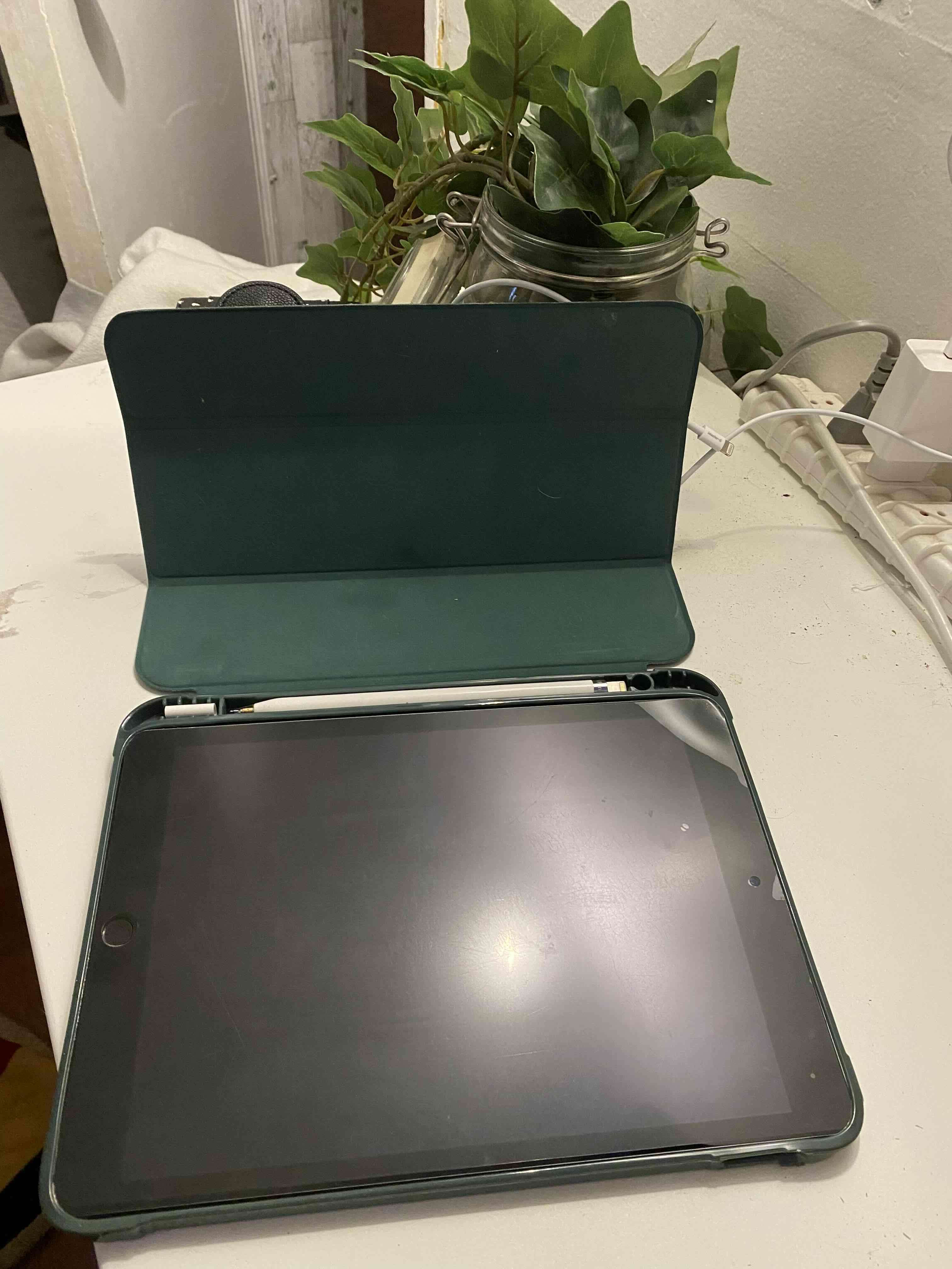 iPad con Apple Pencil - miniatura 4