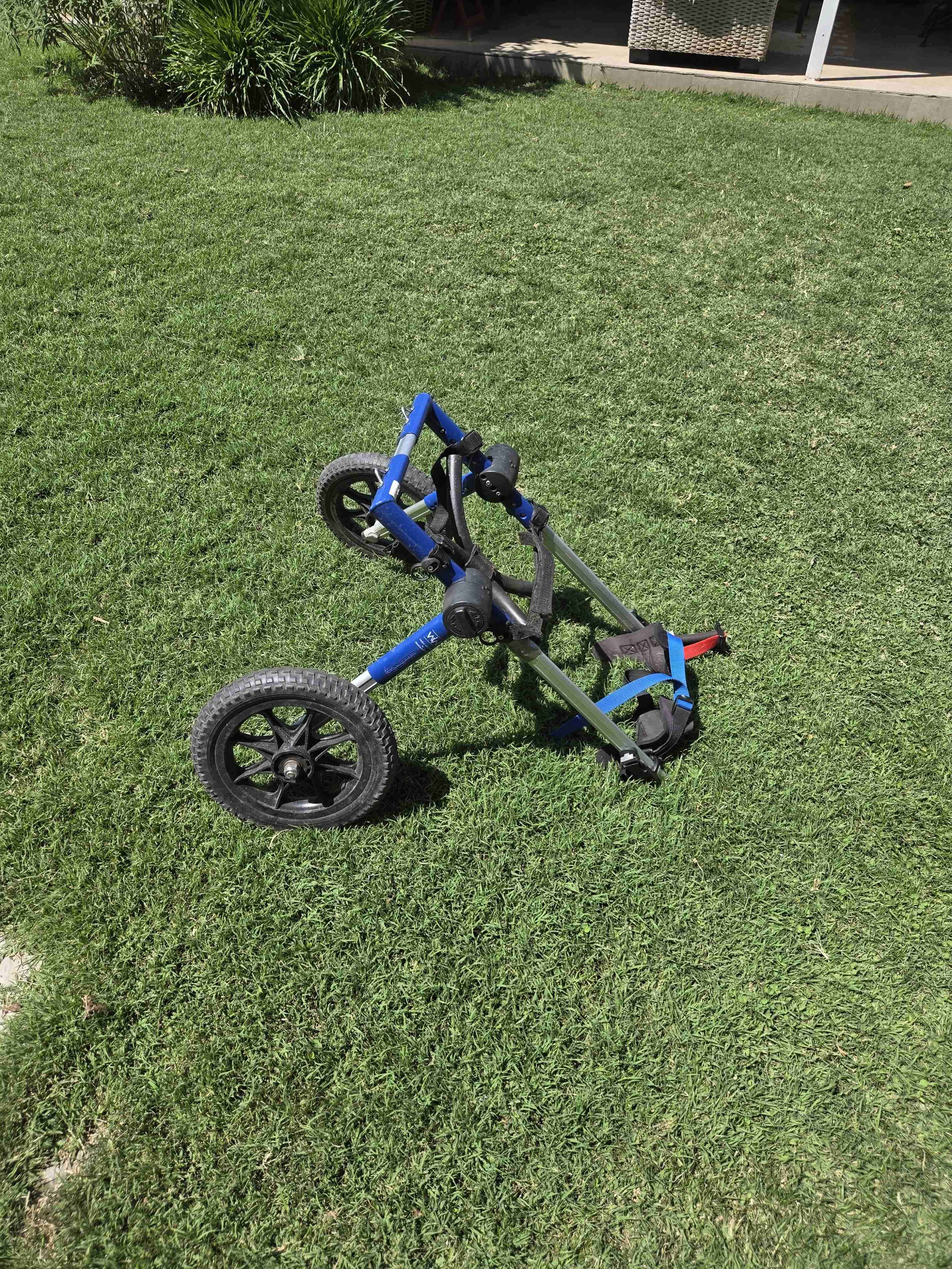 Carro para perro - miniatura 2