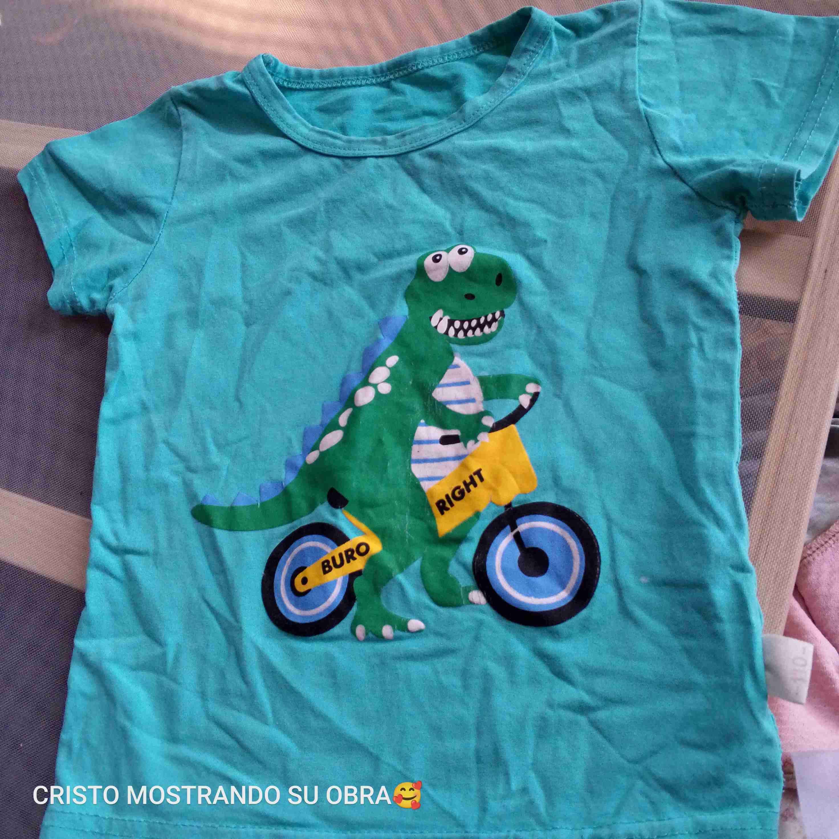 Polera infantil dinosaurio