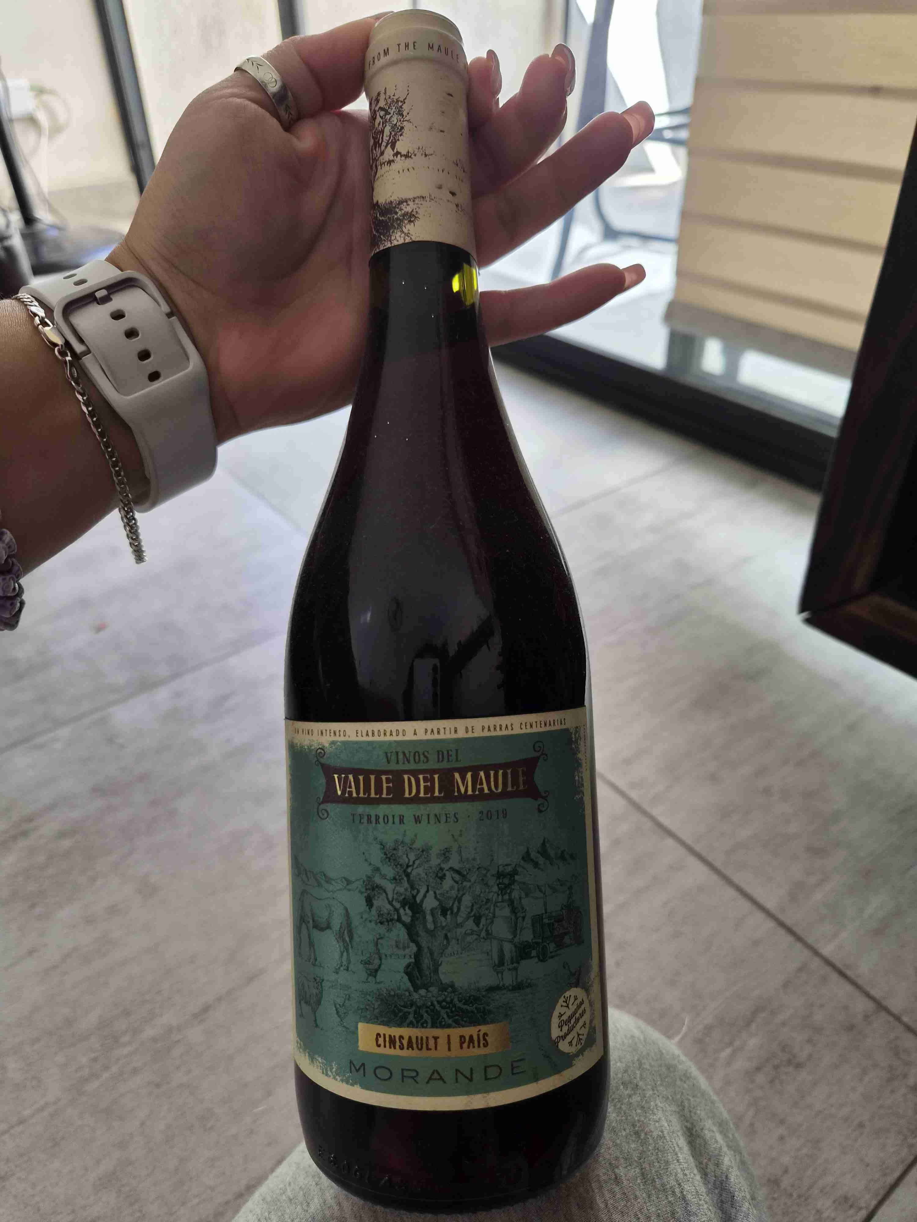 Botella de vino Valle del Maule