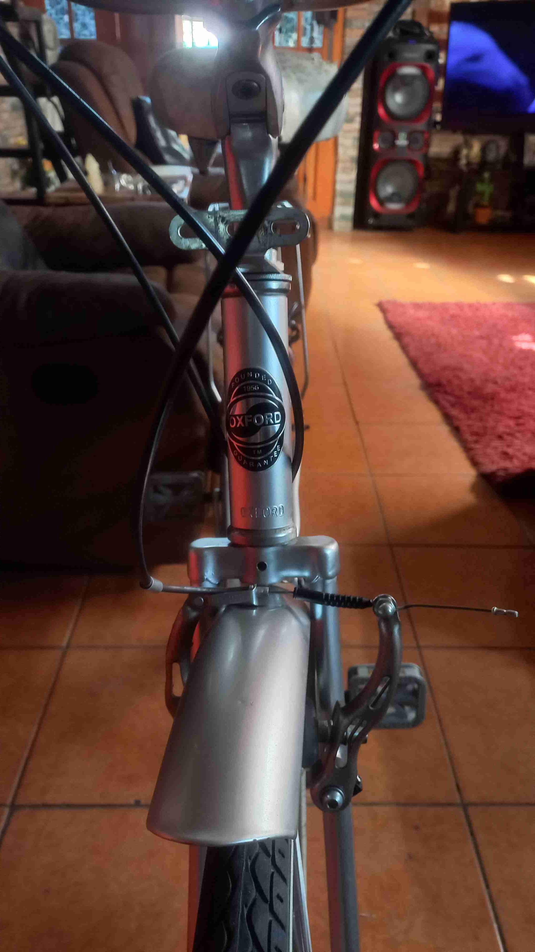 Bicicleta urbana plateada con canasto - miniatura 2