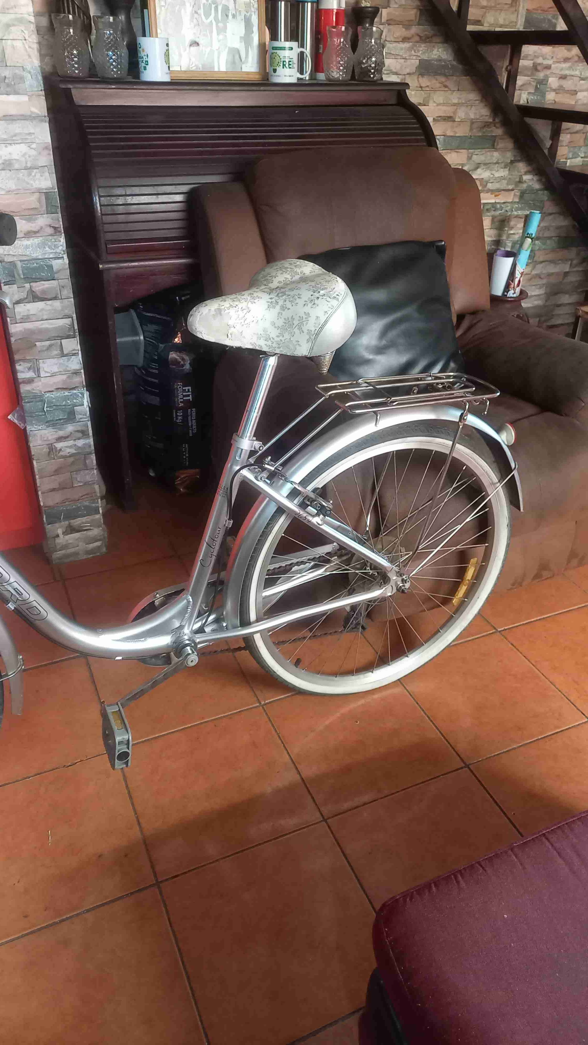 Bicicleta urbana plateada con canasto - miniatura 6