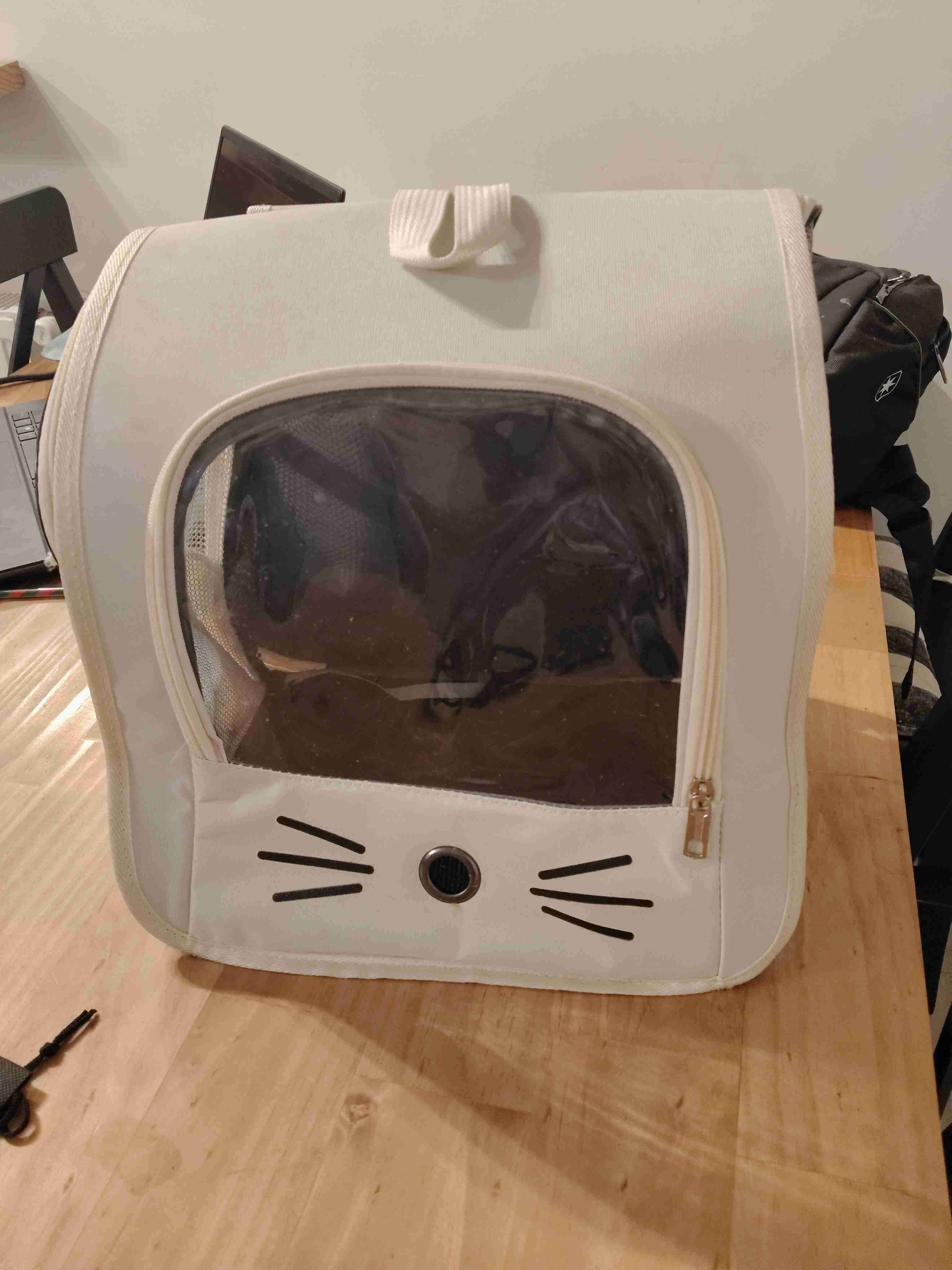 Mochila transportadora para mascota