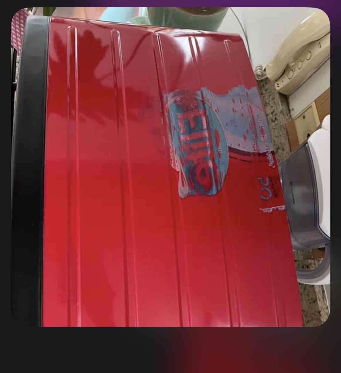 Horno eléctrico Thomas - miniatura 3