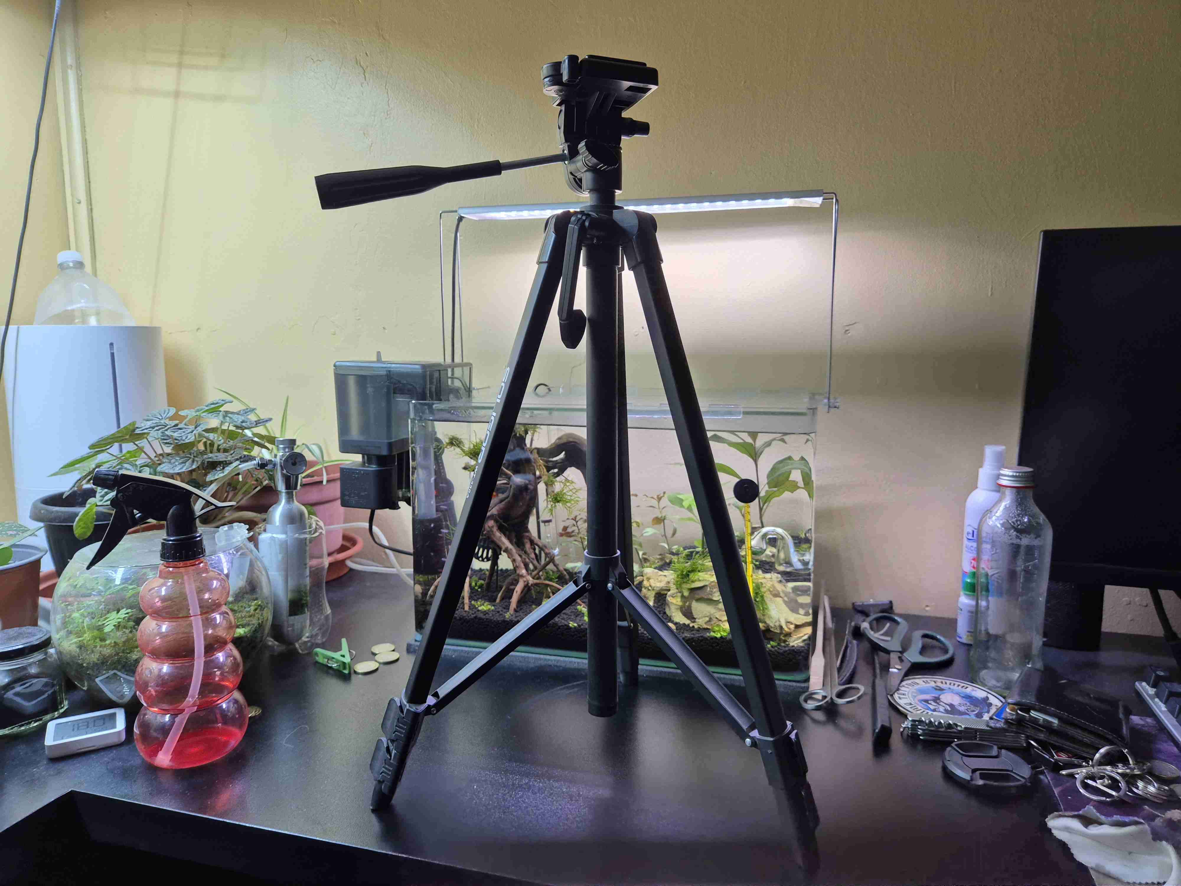 Cámara Nikon D5600 - miniatura 6