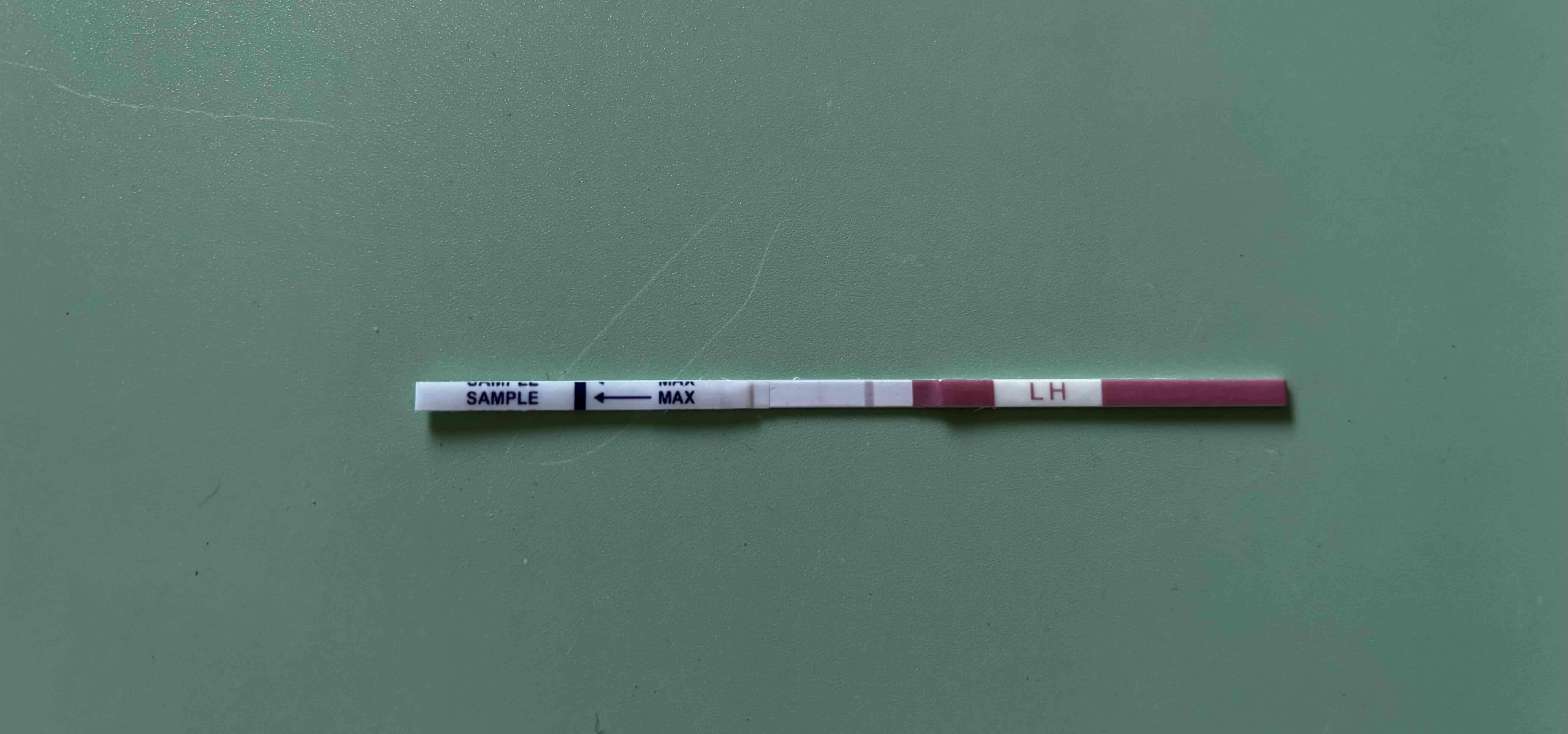 Tiras de prueba de ovulación - miniatura 3