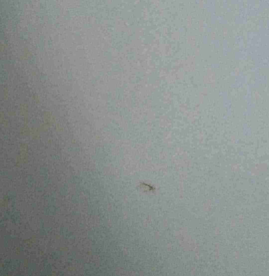 Libro 'Chilenas Rebeldes 2' - miniatura 2