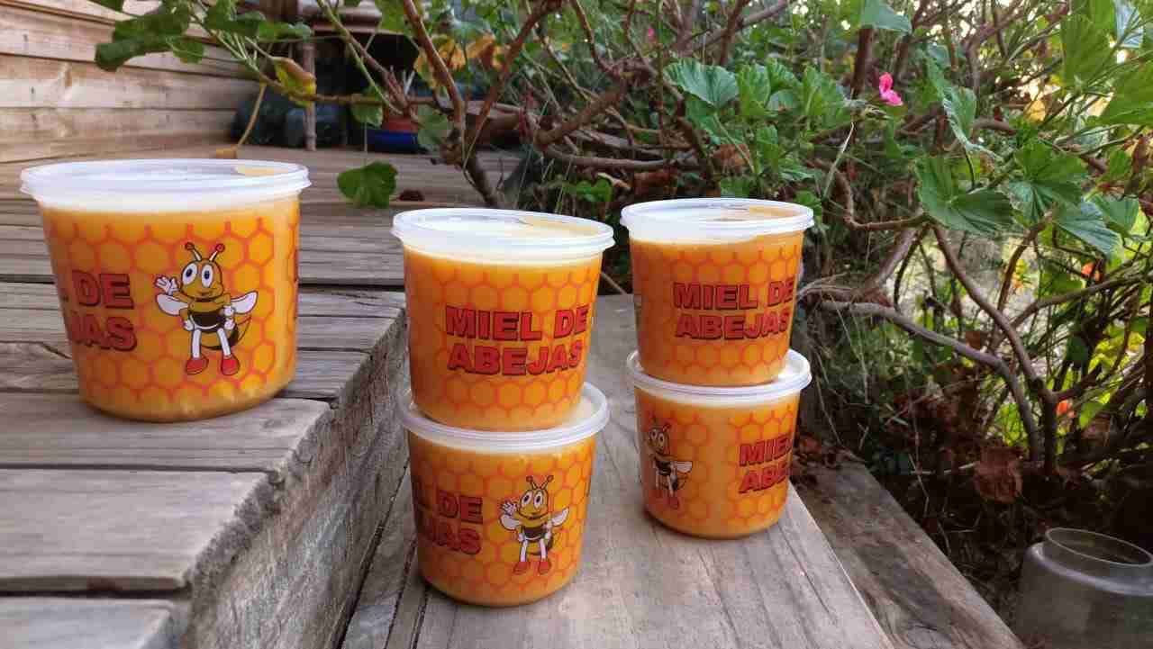 Miel de abejas en pote de 1 kilo