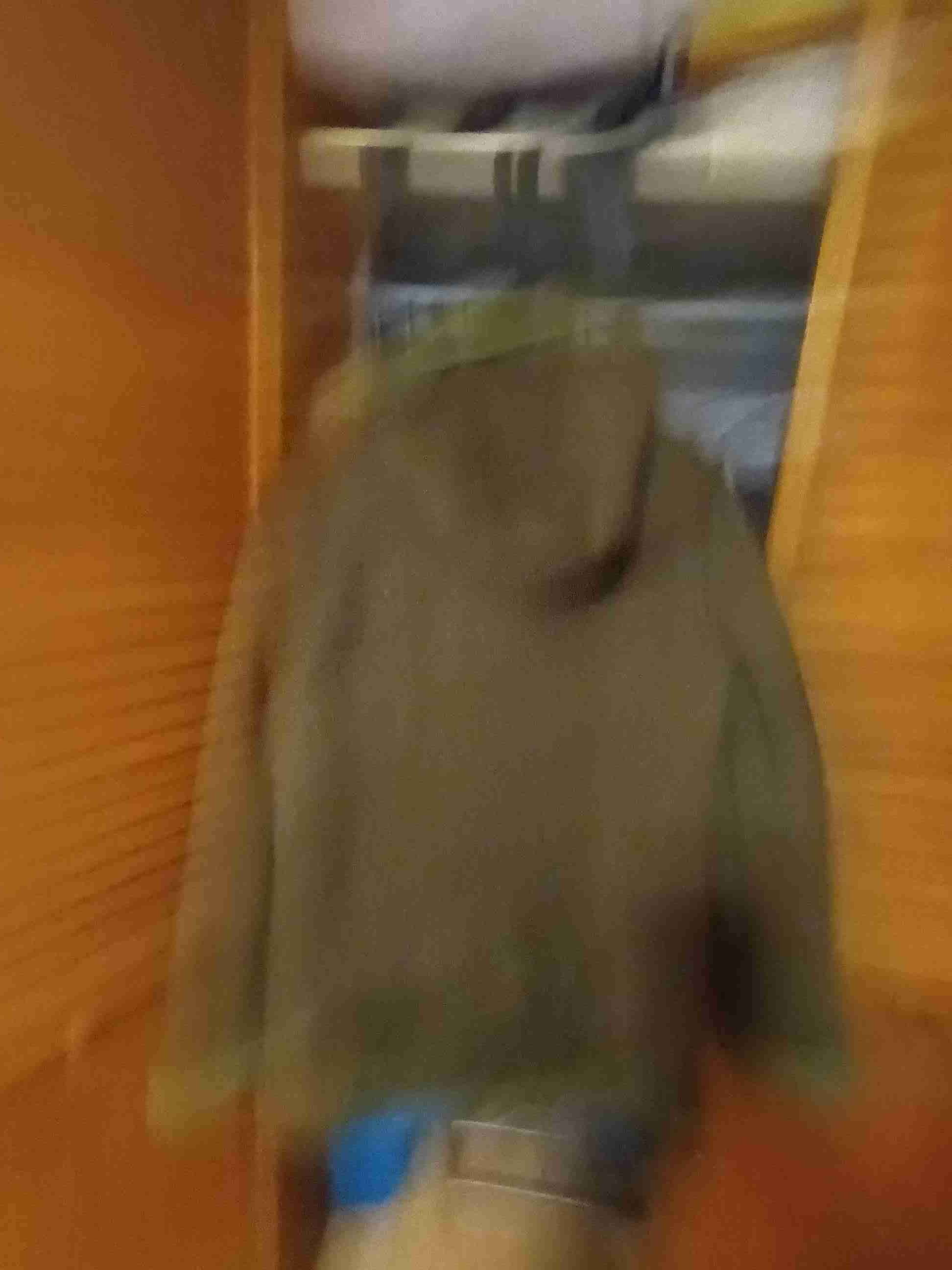 Chaqueta de invierno verde - miniatura 4