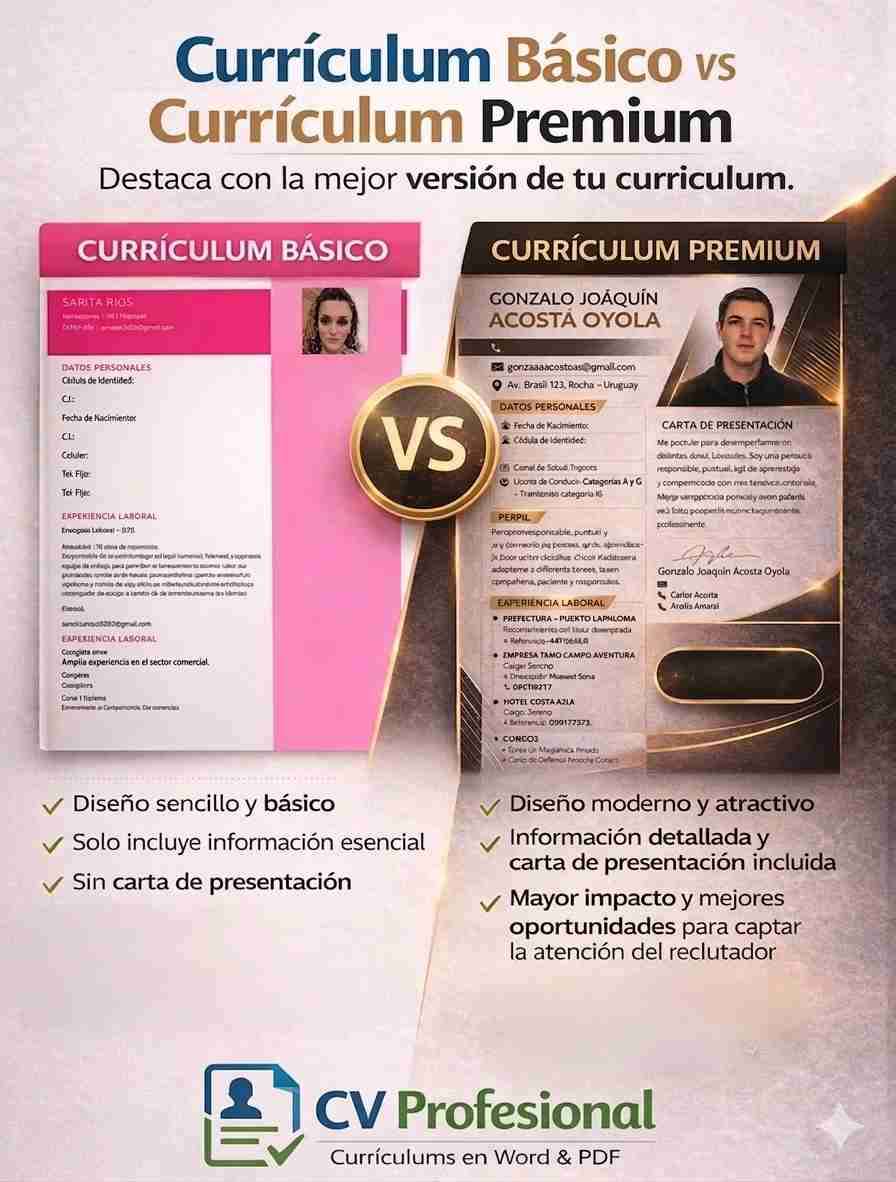 Creación de currículum vitae profesional