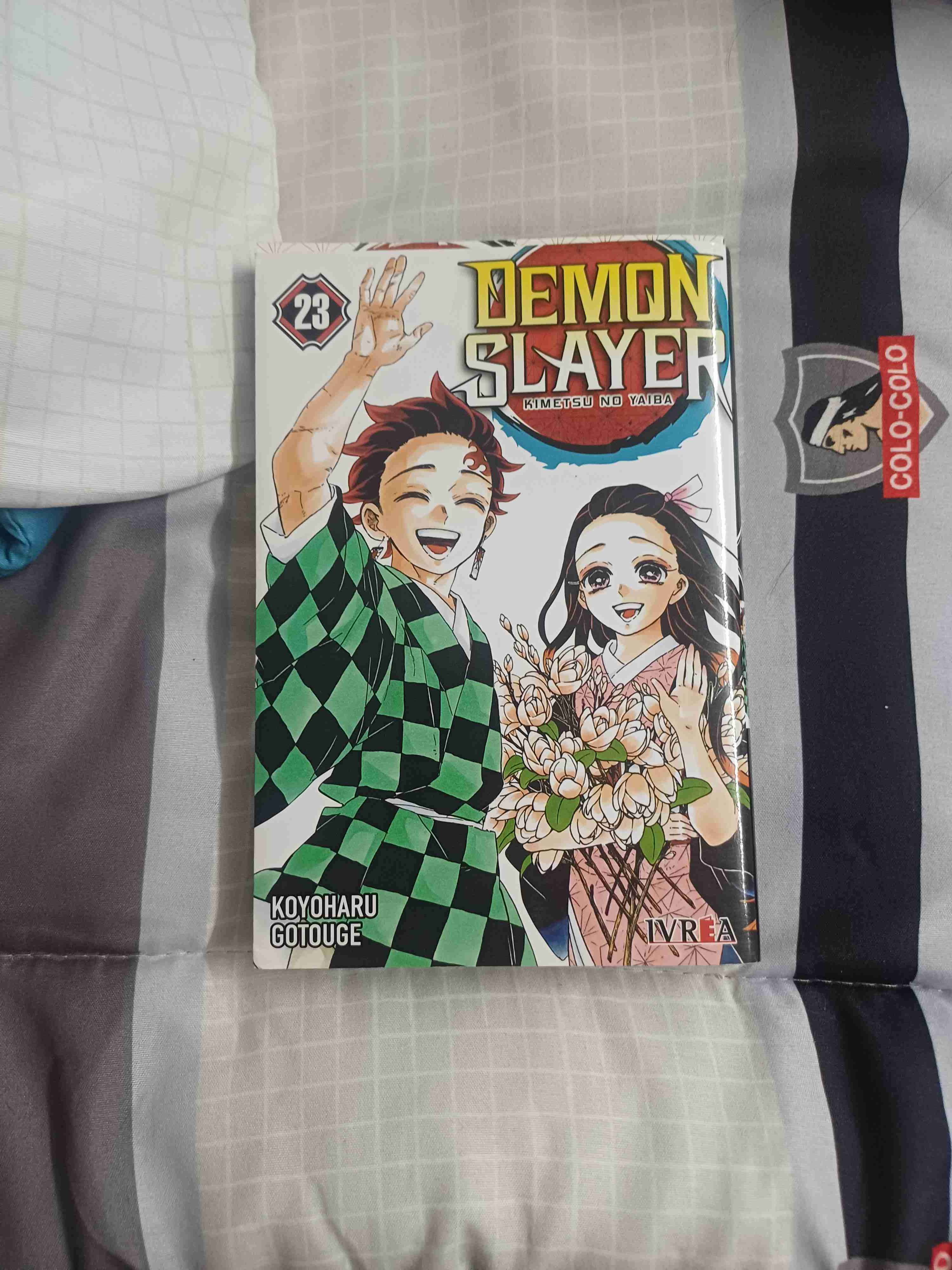 Manga Demon Slayer Vol. 23