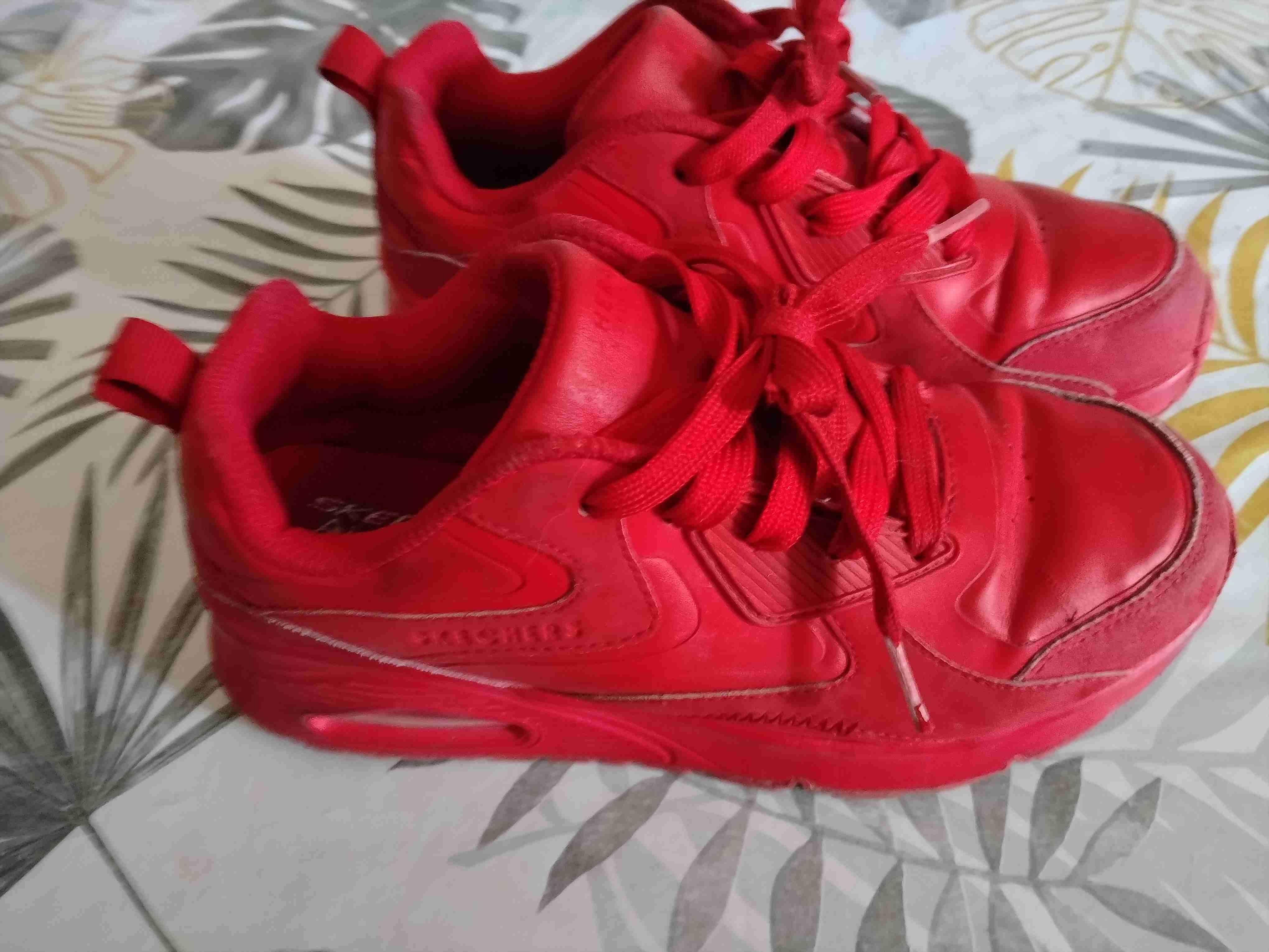 Zapatillas y botín skechers