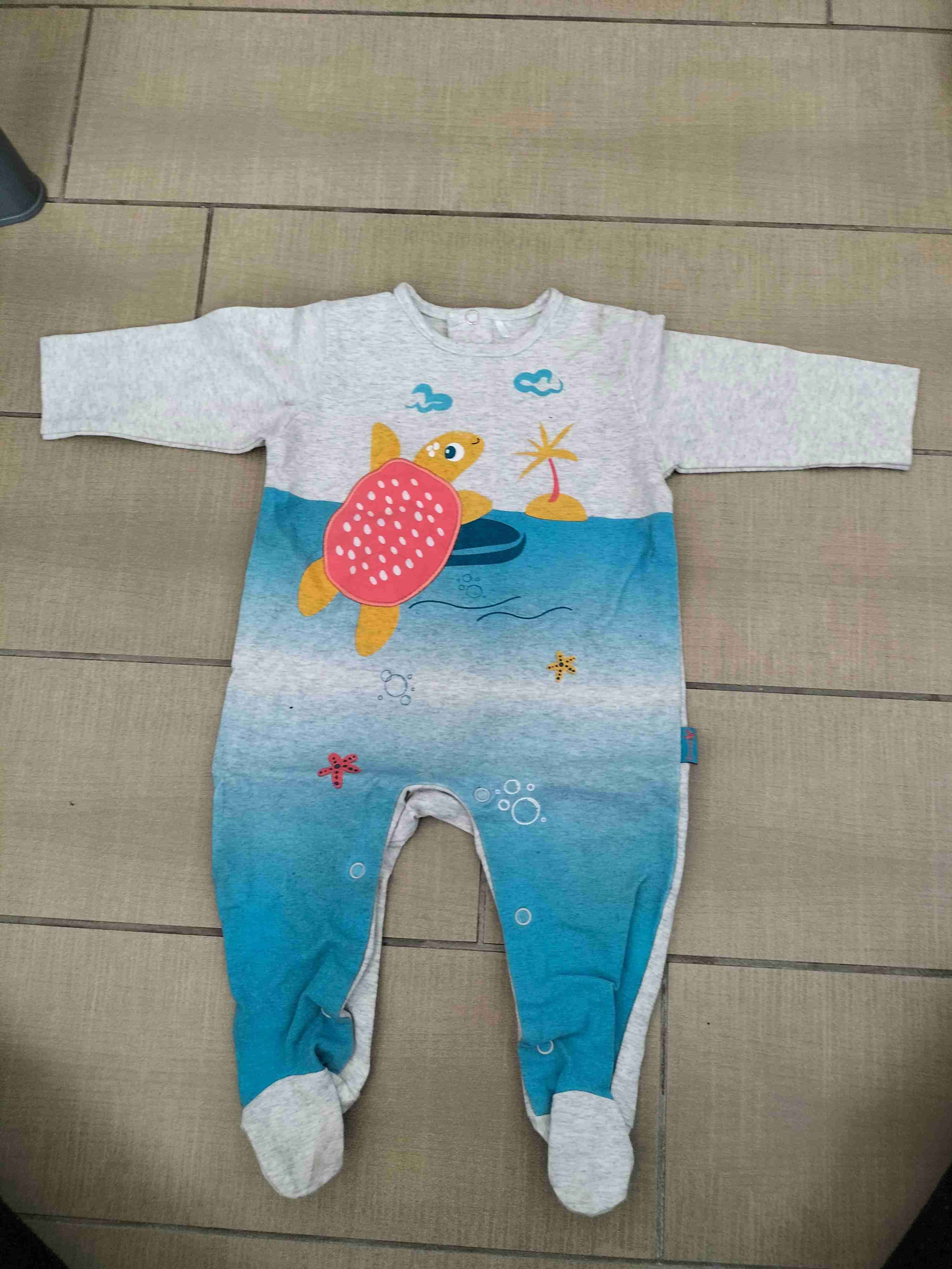 Enterito ficcus 6 meses