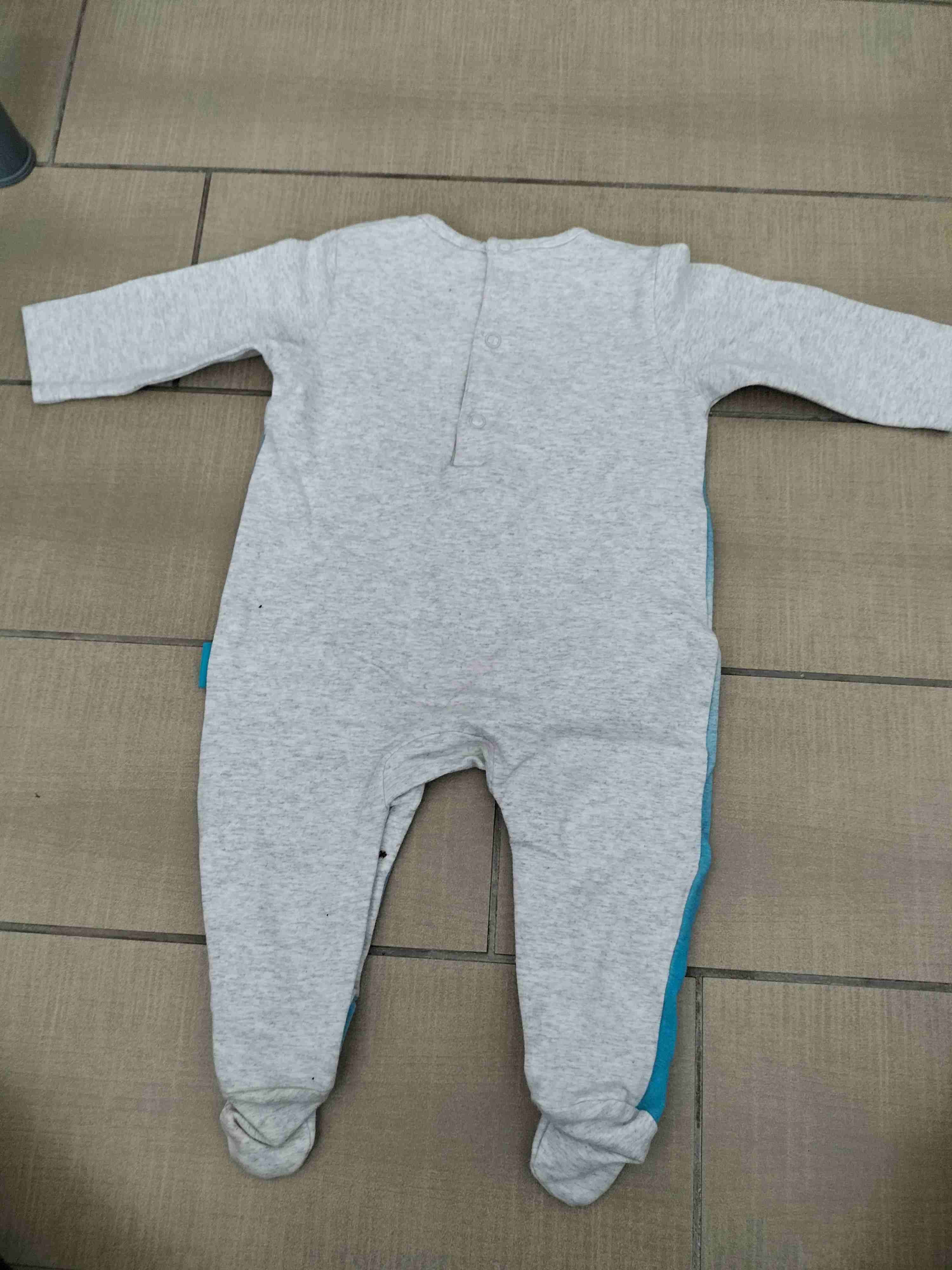 Enterito ficcus 6 meses - miniatura 2