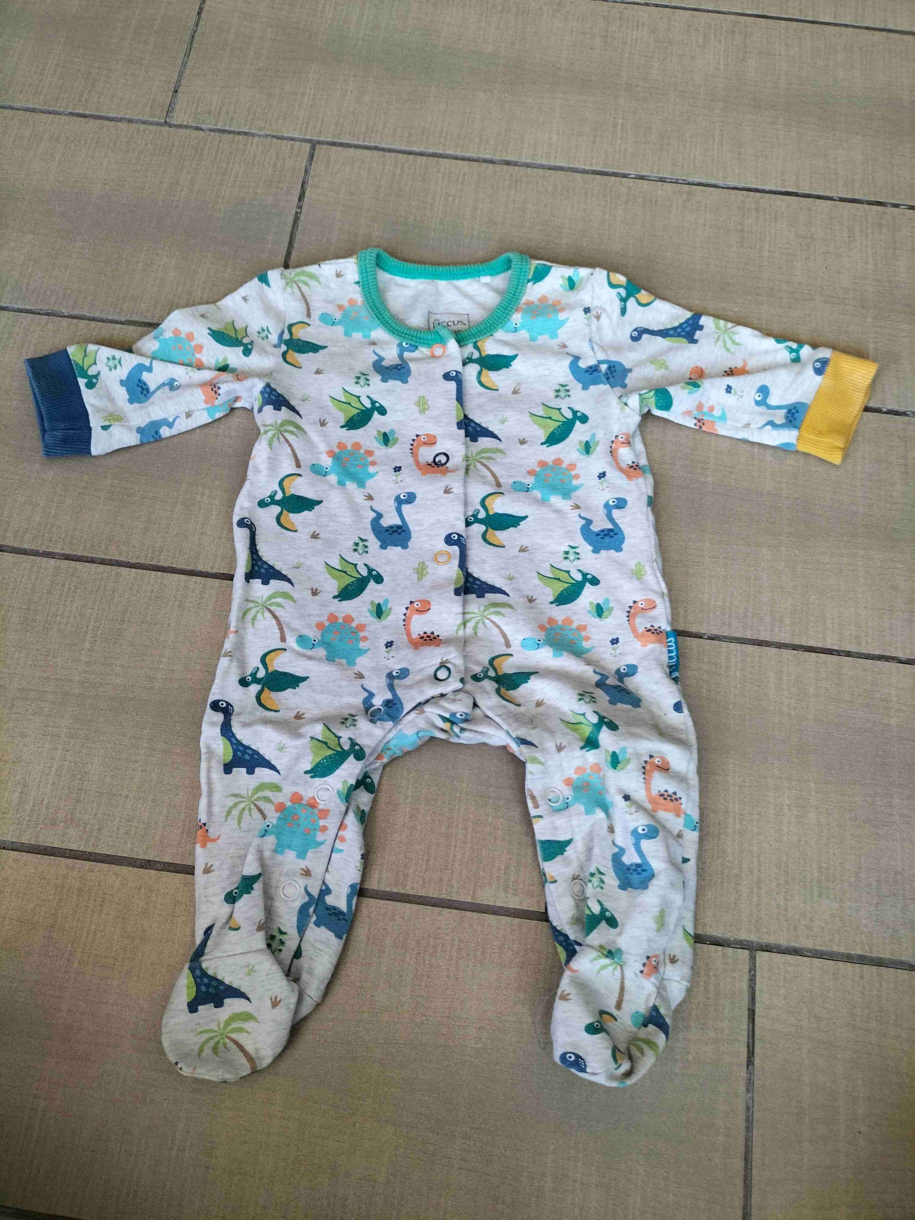 Enterito 0-3 meses ficcus