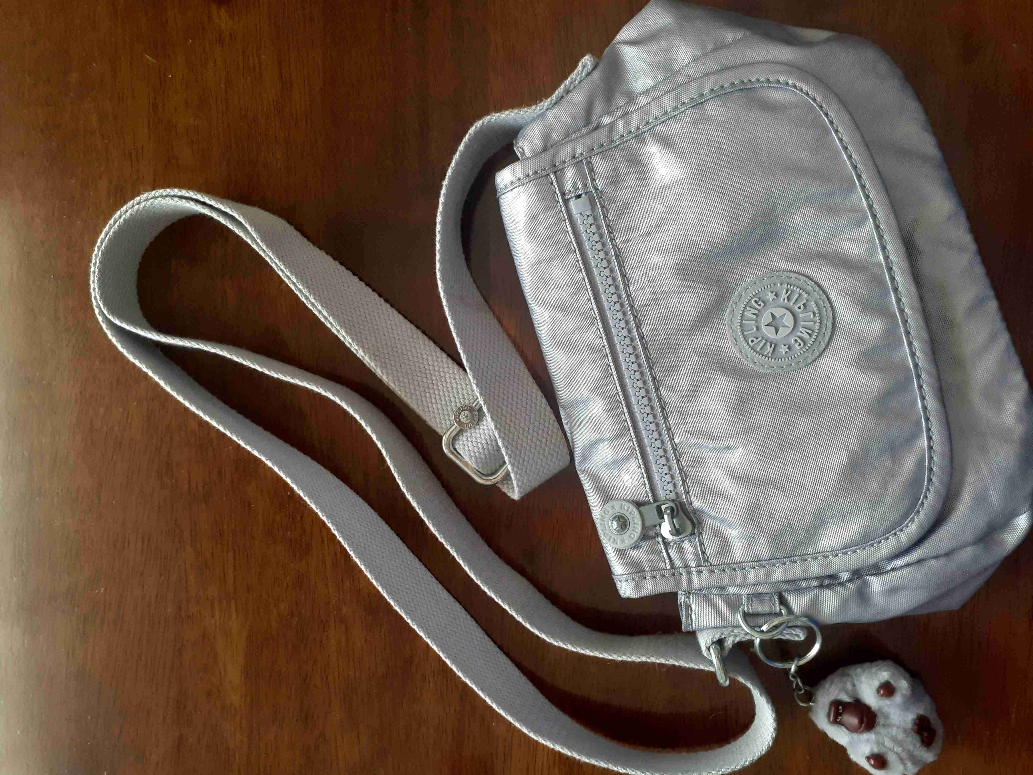 Cartera plateada con cierre